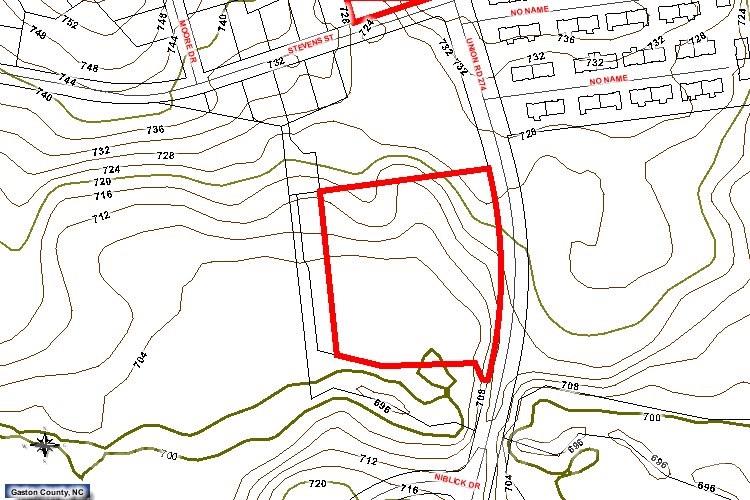 4.75-acres Union Road Gastonia, NC 28054 - Photo 16 of 16 view of a bunch with a plant