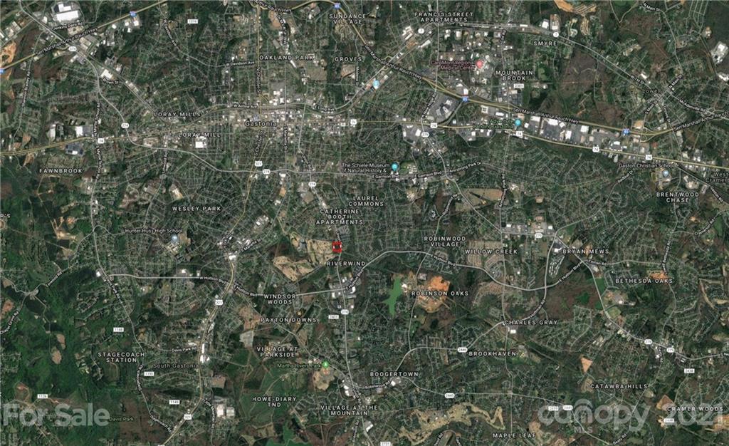 4.75-acres Union Road Gastonia, NC 28054 - Photo 8 of 16 a picture of tree