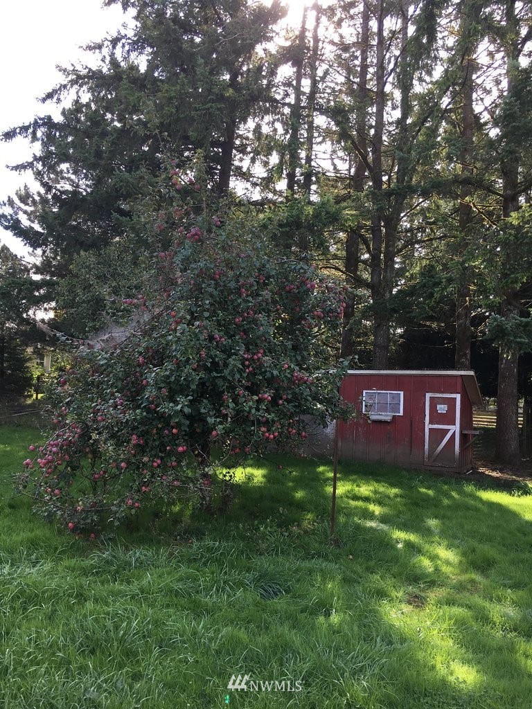 896 King Road Winlock, WA 98596 - Photo 36 of 39 a view of an outdoor space