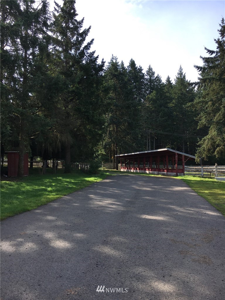 896 King Road Winlock, WA 98596 - Photo 38 of 39 a view of a yard with large trees