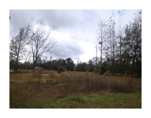 135 Odis Flurry Road Perkinston, MS 39573 - Photo 7 of 9 Additional Photo
