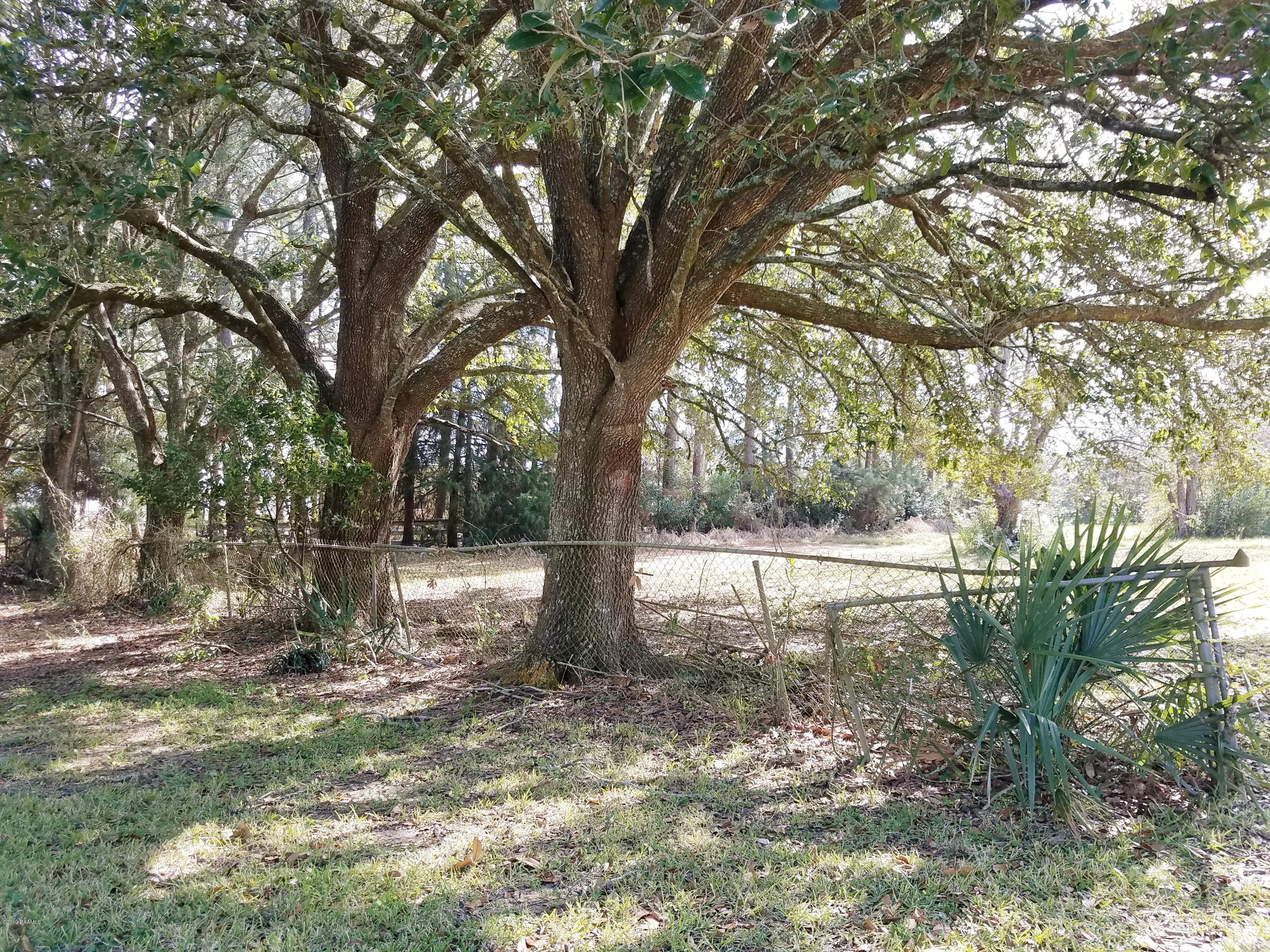 3021 Albert Road Erath, LA 70533 - Photo 3 of 6 20191219_040449