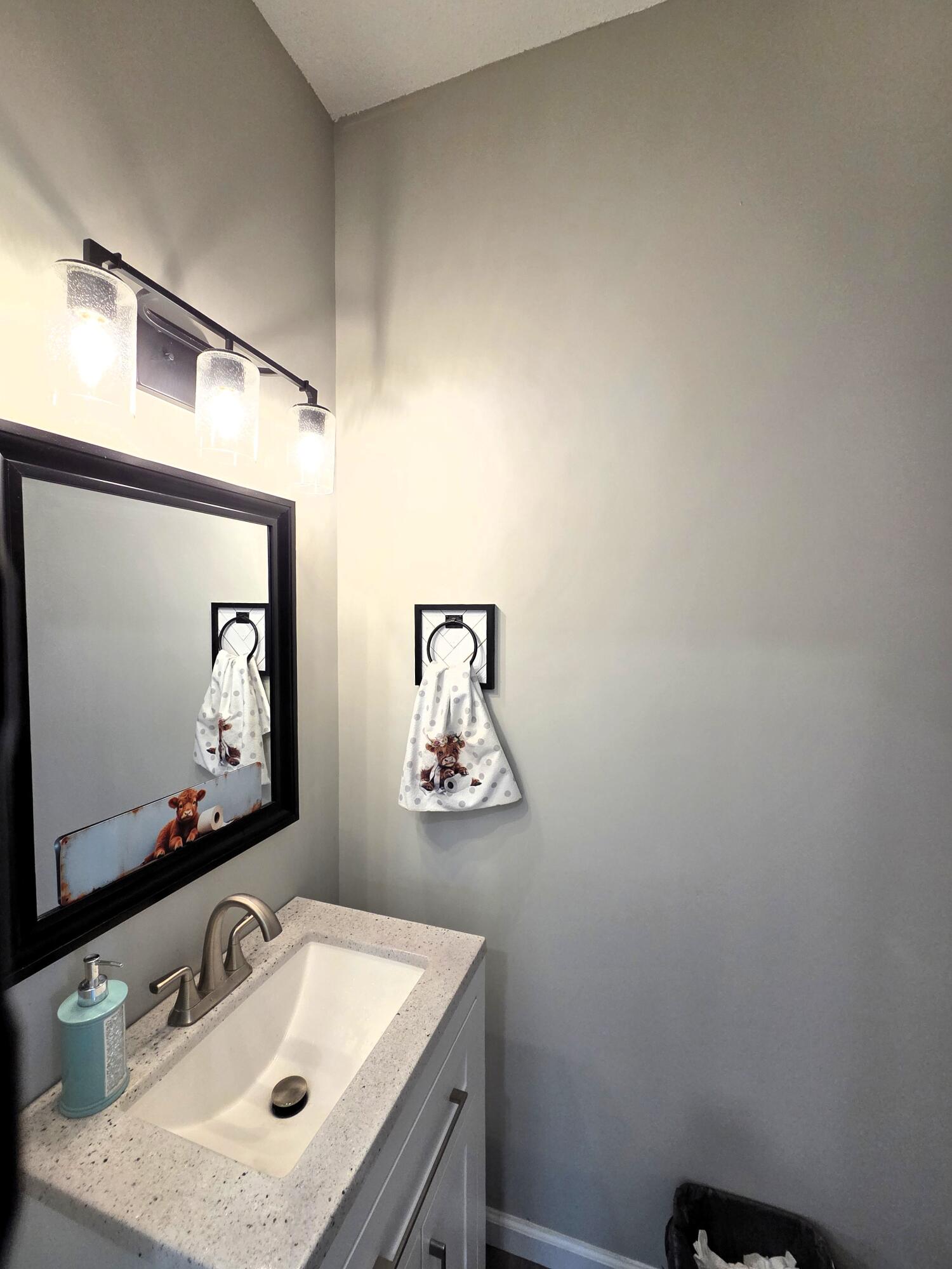 464 Hair Lake Road Summerville, GA 30747 - Photo 22 of 39 Bathroom 2