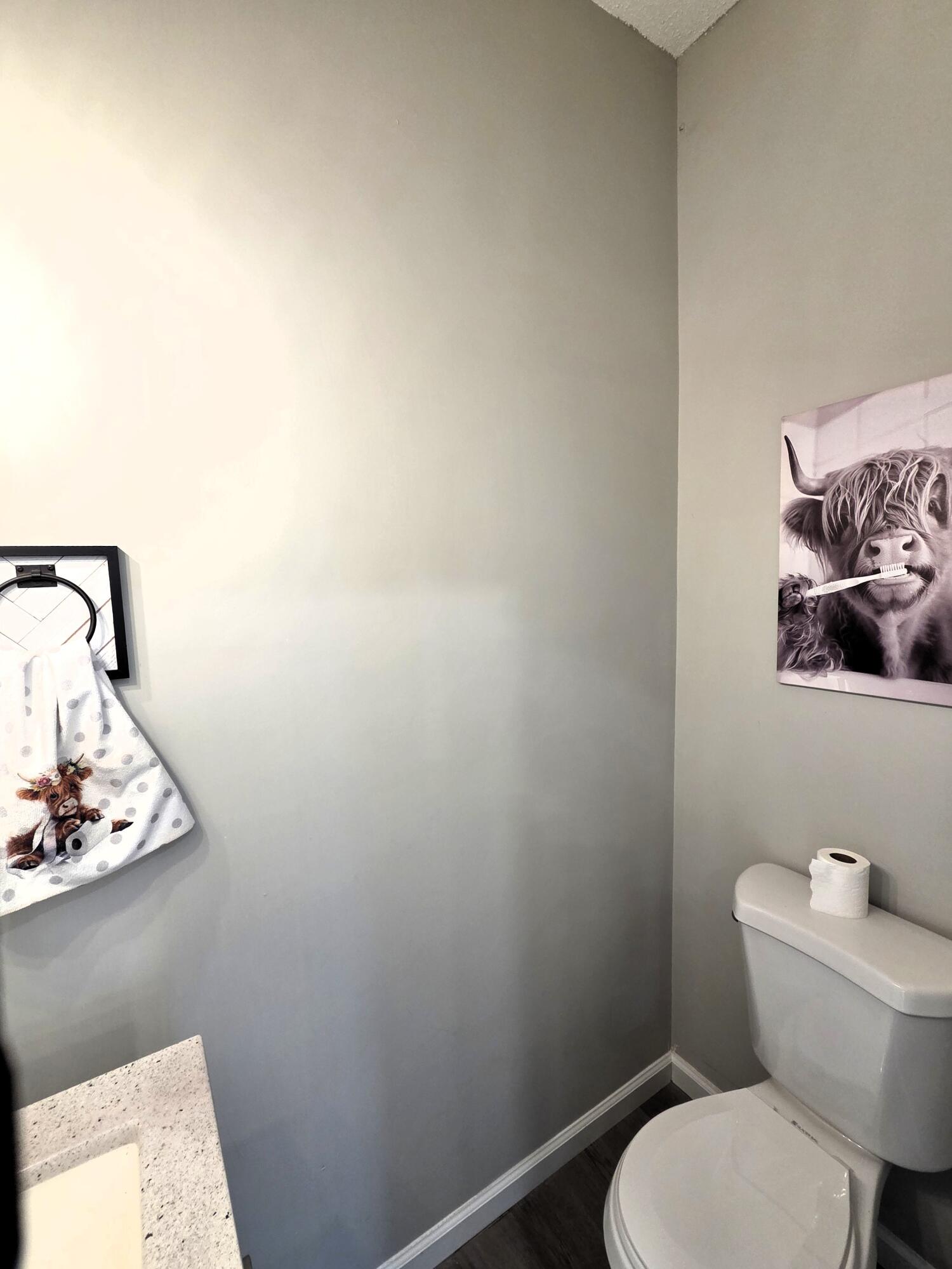 464 Hair Lake Road Summerville, GA 30747 - Photo 23 of 39 Bathroom 2