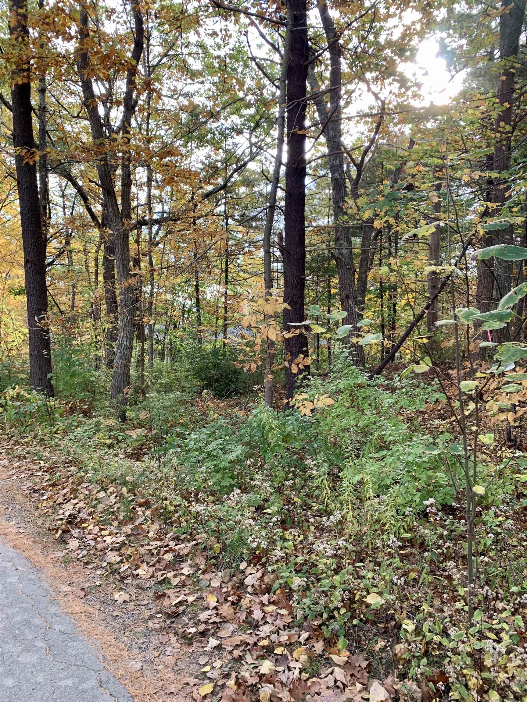 68 Pine Mountain Road York, ME 03902 - Photo 2 of 9 Gallery Image 2