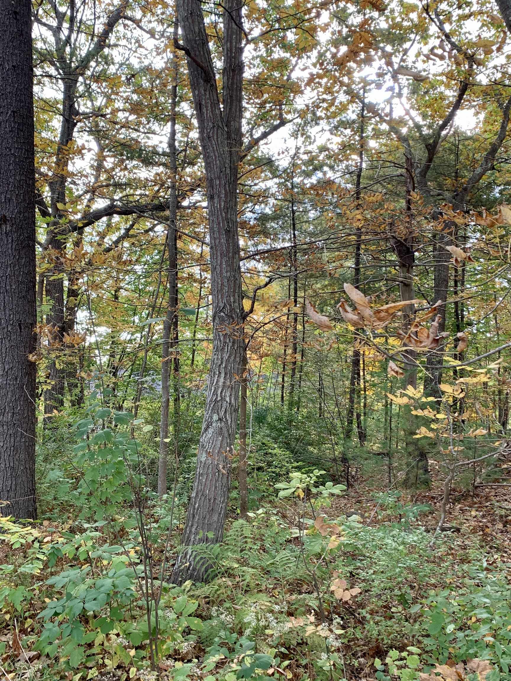 68 Pine Mountain Road York, ME 03902 - Photo 3 of 9 Gallery Image 3
