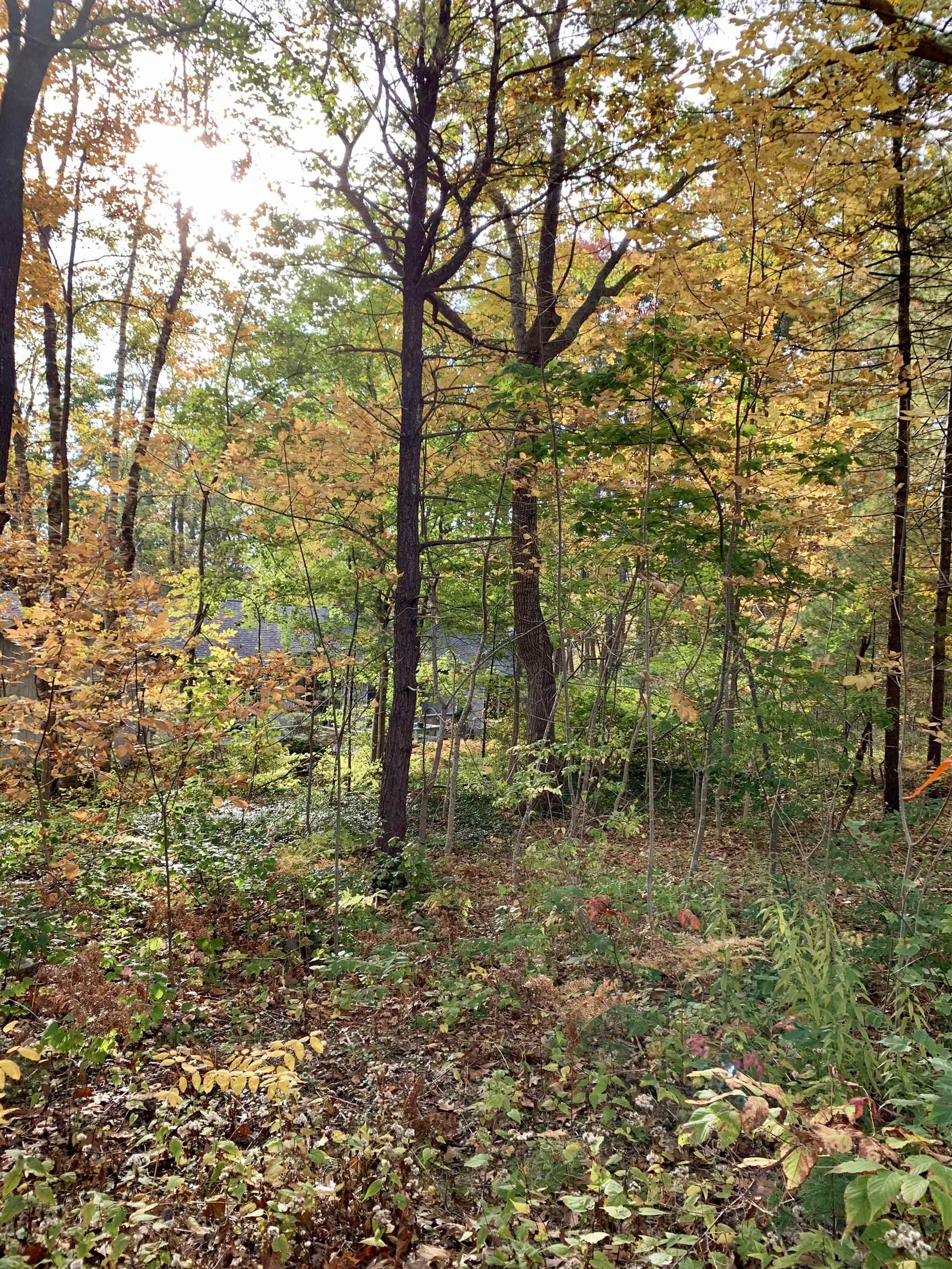 68 Pine Mountain Road York, ME 03902 - Photo 5 of 9 Gallery Image 5