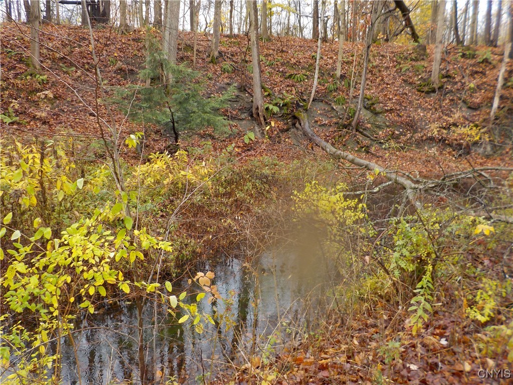 12095 Broadway Road Victory, NY 13033 - Photo 15 of 50