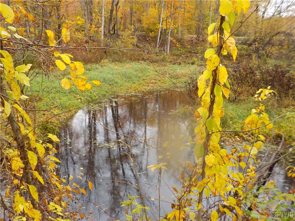 12095 Broadway Road Victory, NY 13033 - Photo 18 of 50