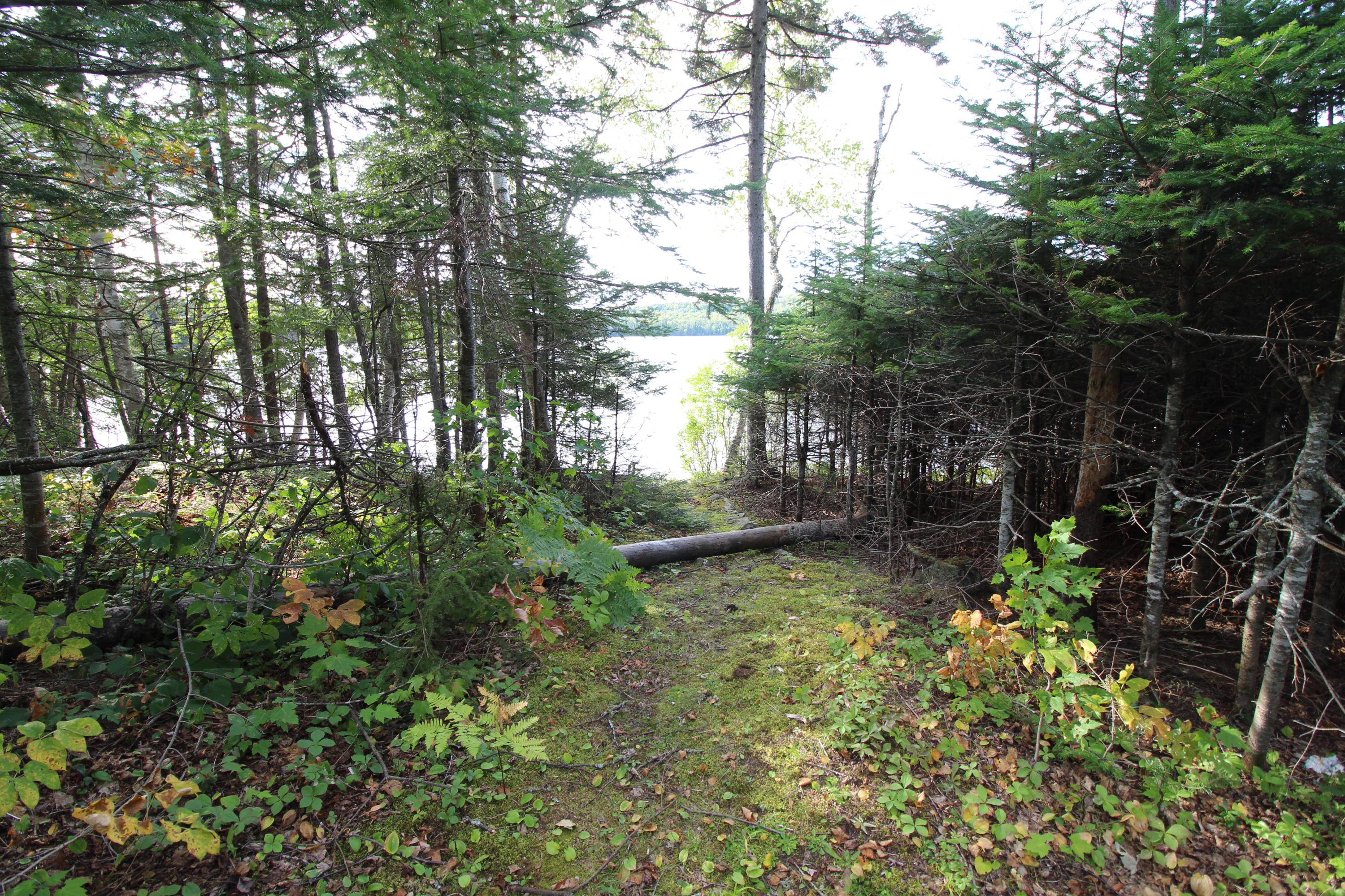 39 Hartland Road Rangeley, ME 04970 - Photo 22 of 28 IMG_2214