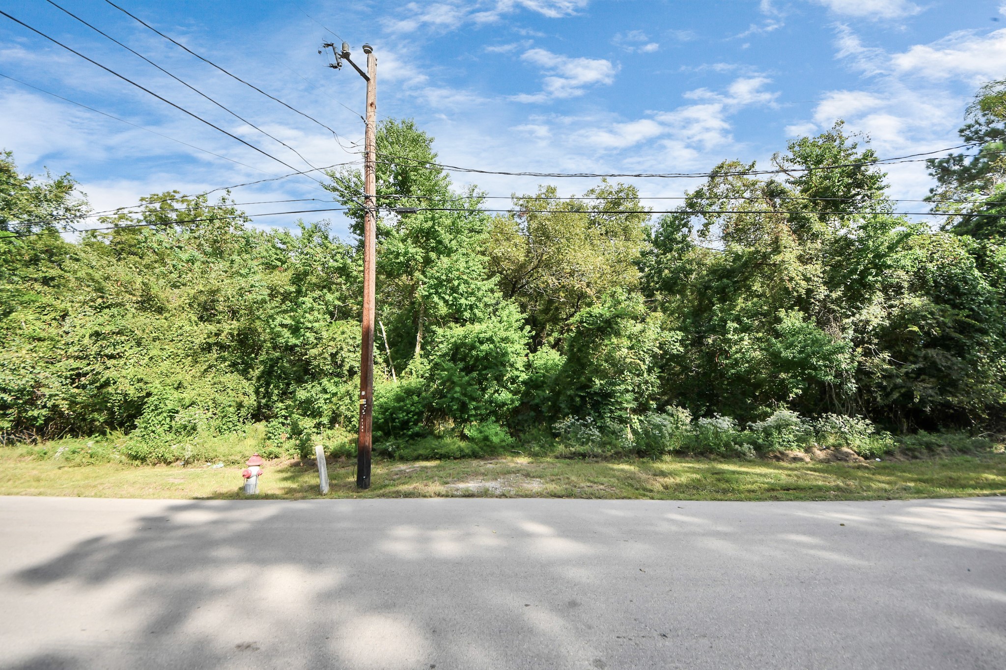 0 Peach Street Conroe, TX 77304 - Photo 2 of 7 a view of a yard