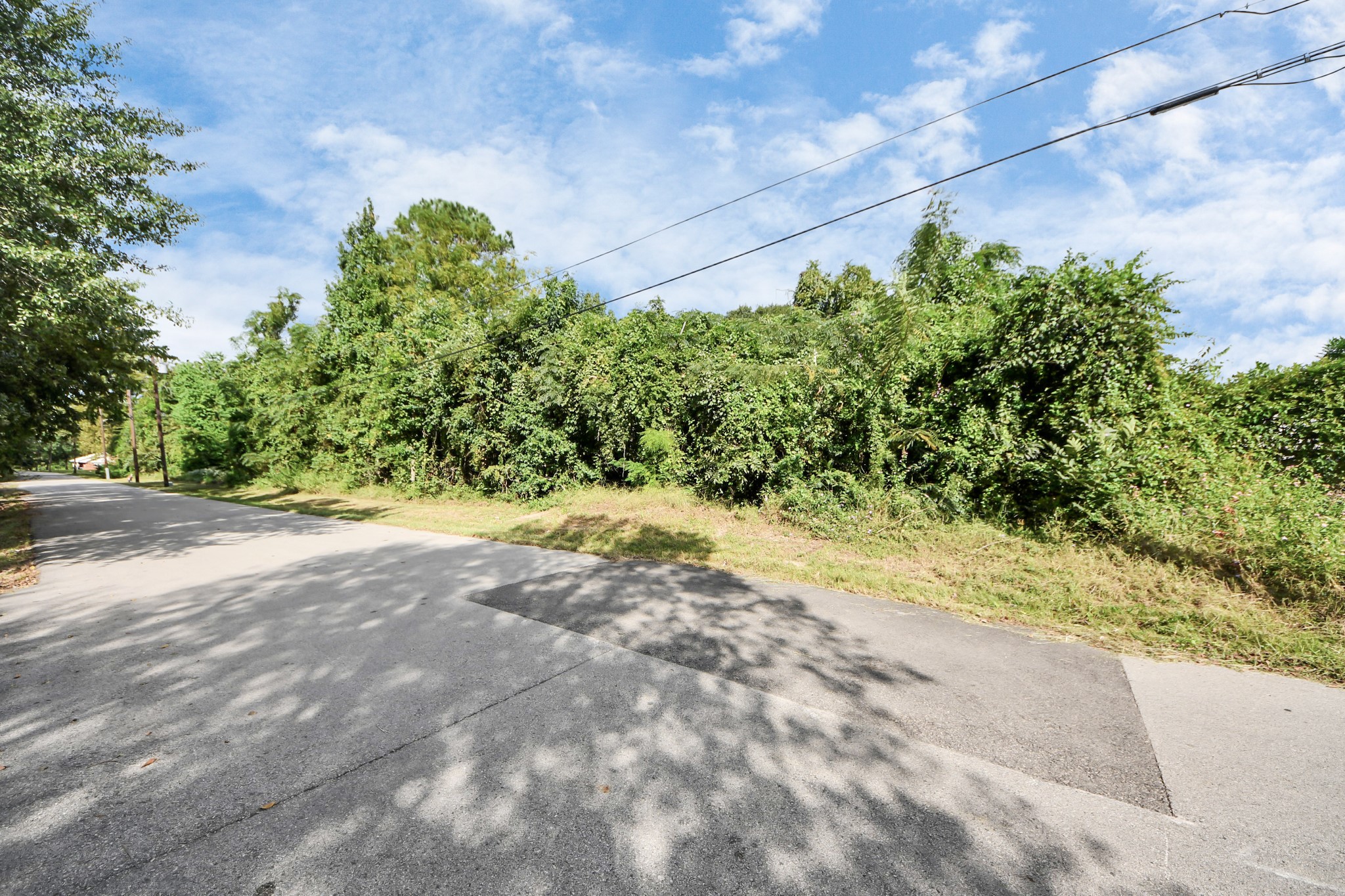 0 Peach Street Conroe, TX 77304 - Photo 4 of 7 a view of a yard with plants and a bench