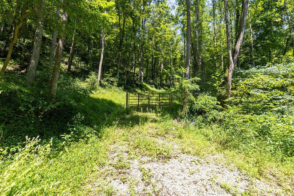 24272 Conrad Road Laurelville, OH 43135 - Photo 20 of 32 20-Gate View-1