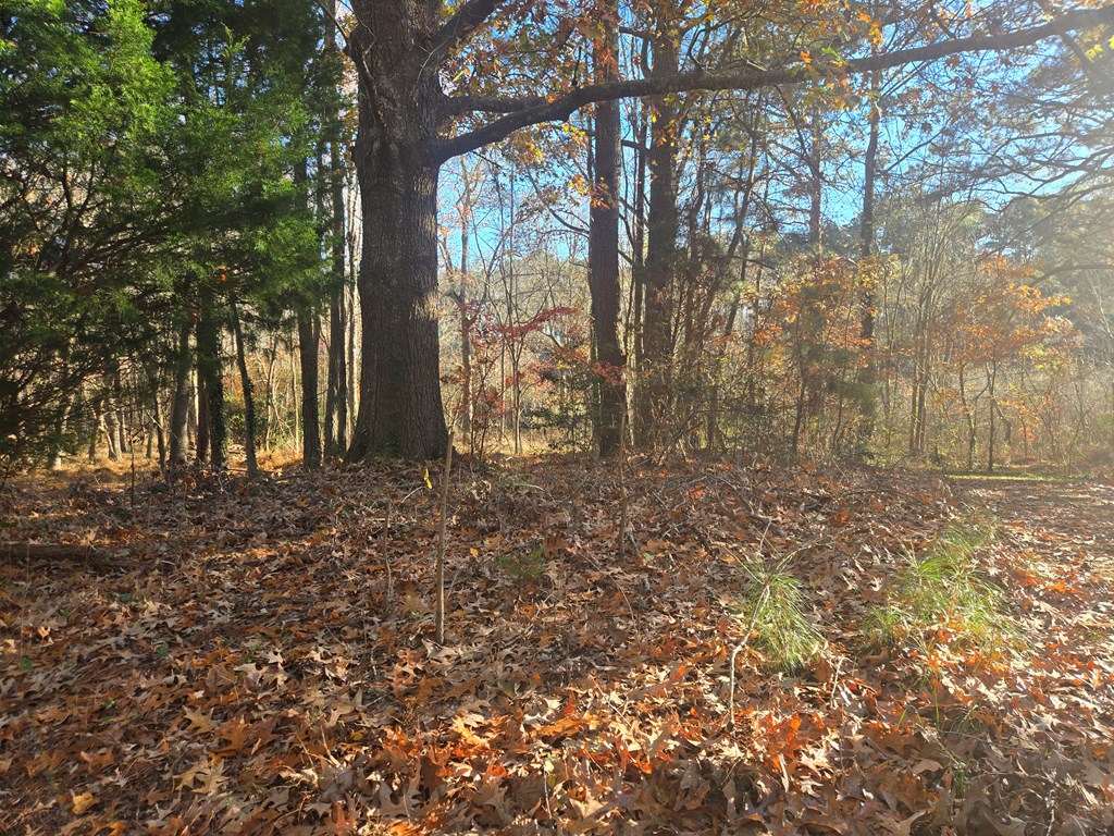 8396 Wellington Neck Road, Unit 14 Franktown, VA 23354 - Photo 3 of 3
