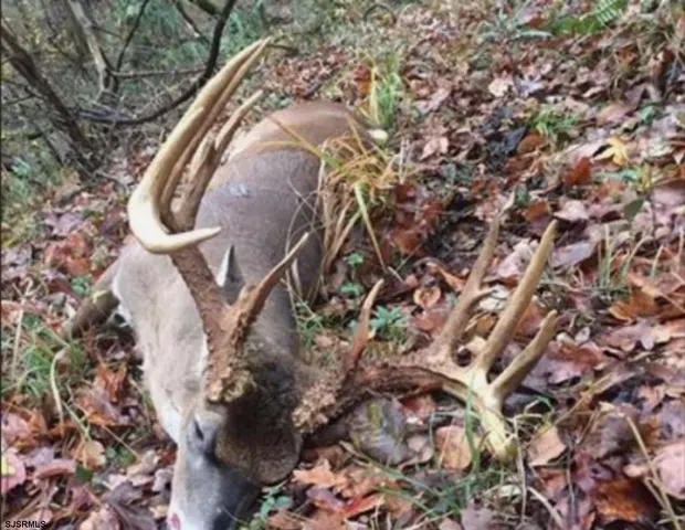 a view of outdoor space