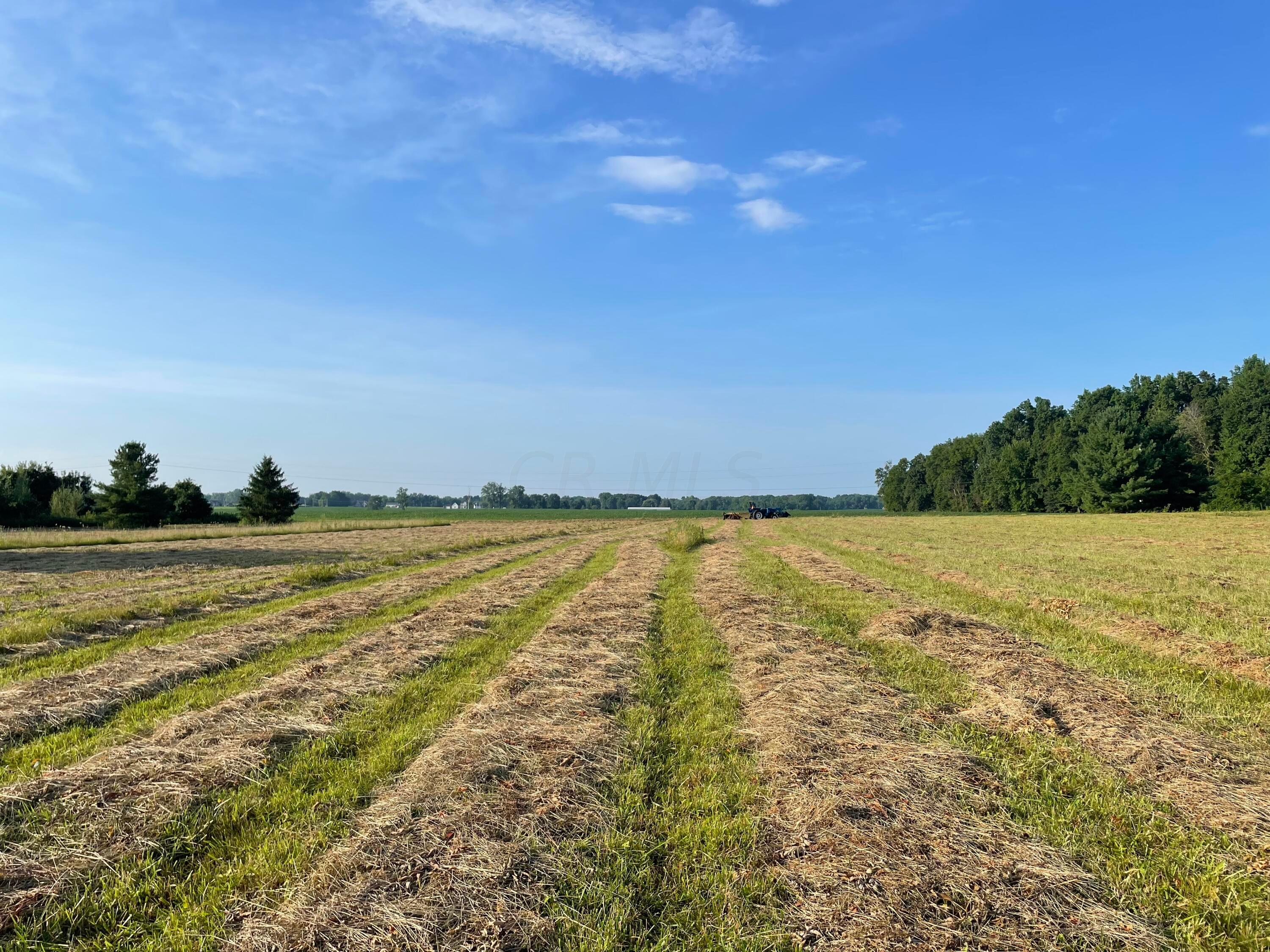 2218 Green Cook Road Galena, OH 43021 - Photo 84 of 86 Hay field