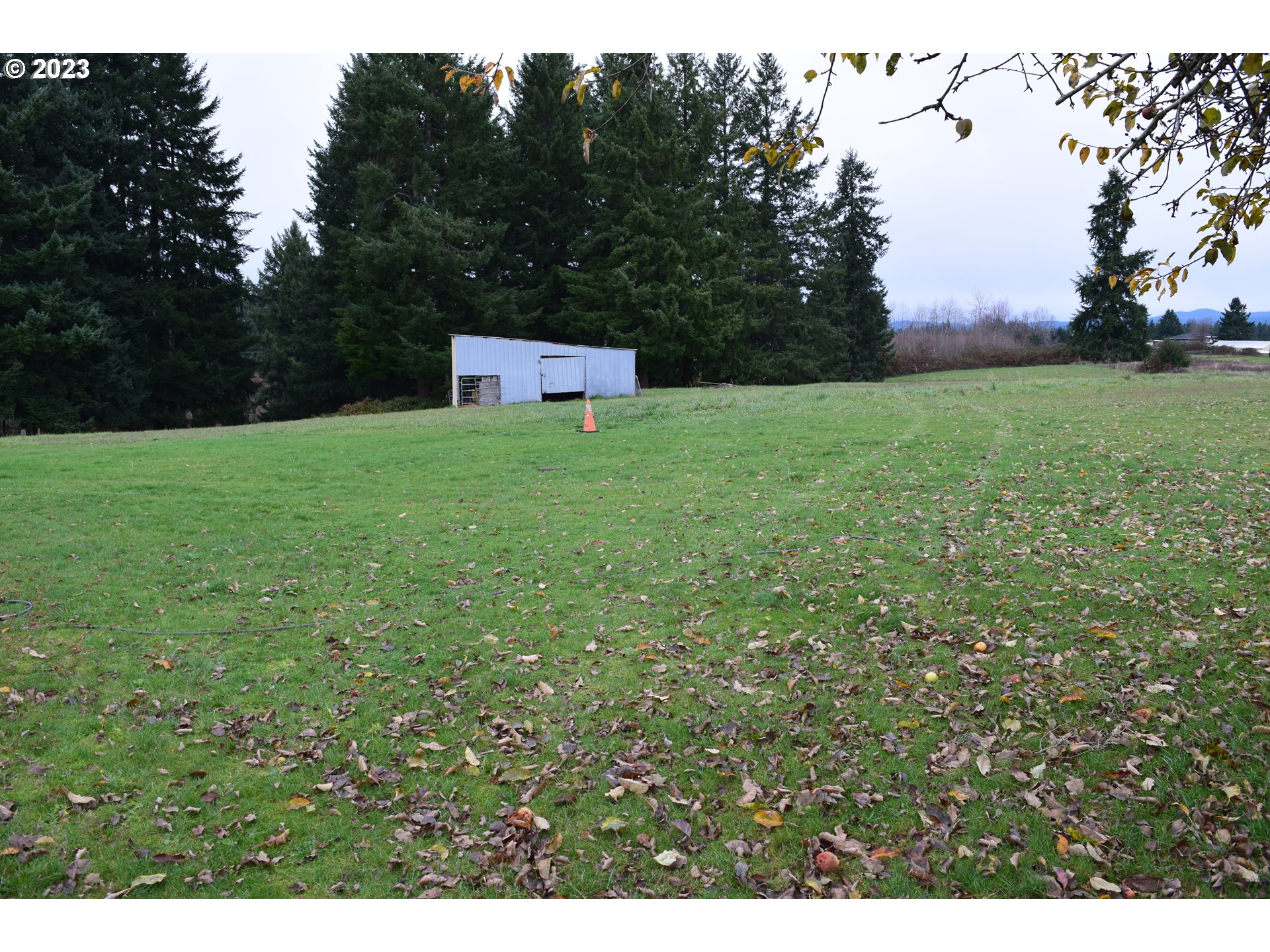 37075 Southeast Trubel Road Sandy, OR 97055 - Photo 14 of 15 a view of a barn with big yard and large trees