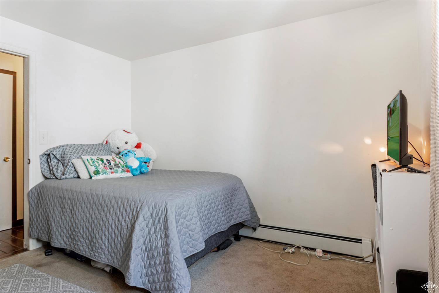 169 River View Road, Unit A Gypsum, CO 81637 - Photo 7 of 11 Additional Photo