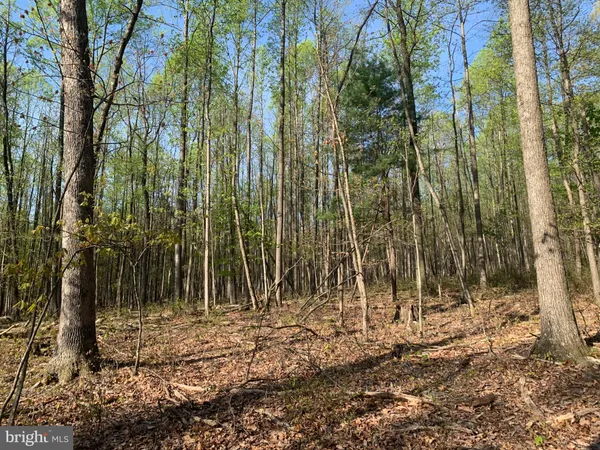 $75,000 | Black Bear Road, Needmore, PA 17238
