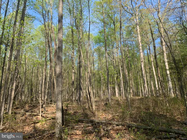 $75,000 | Black Bear Road, Needmore, PA 17238