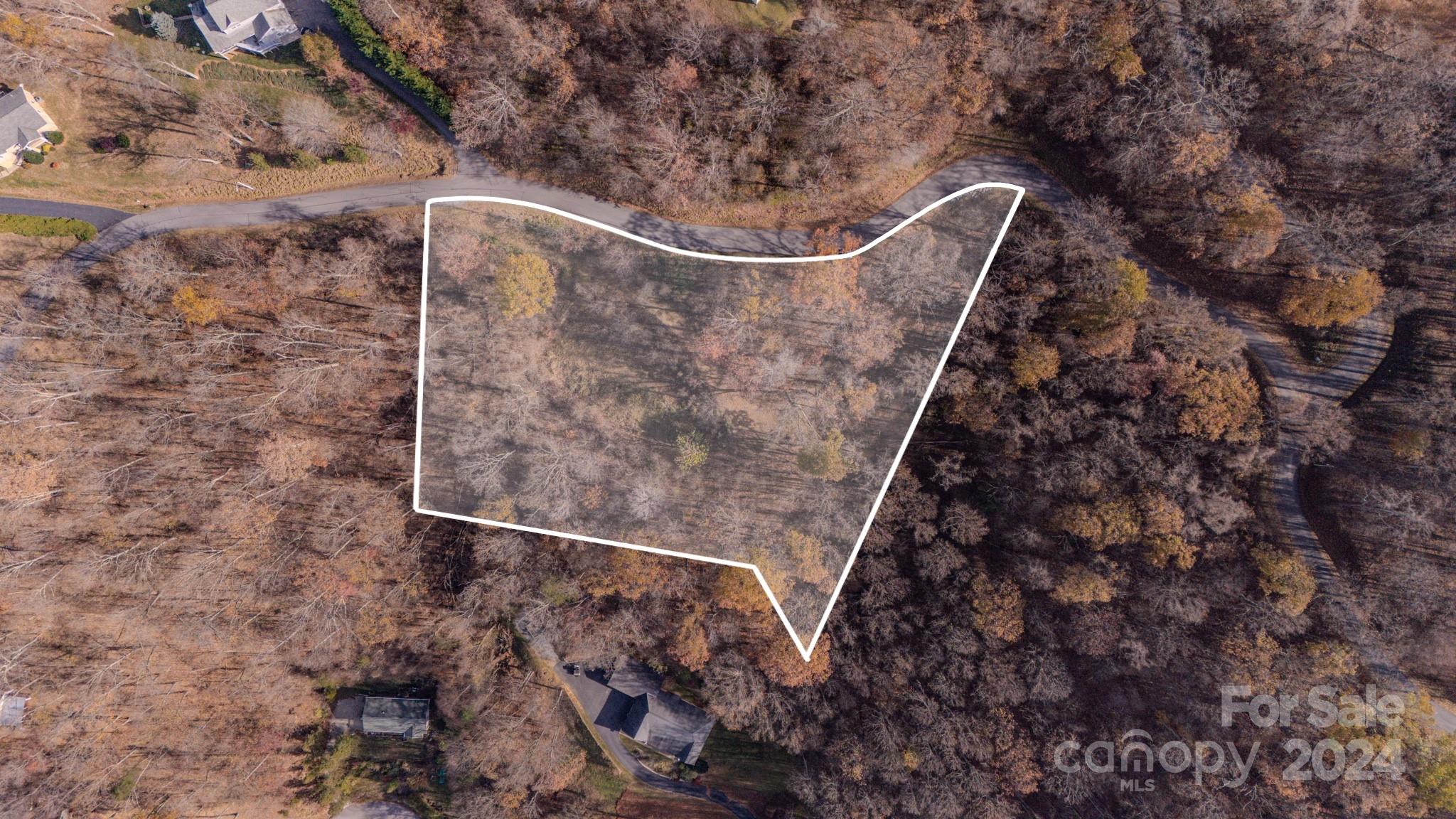 a view of a dry yard