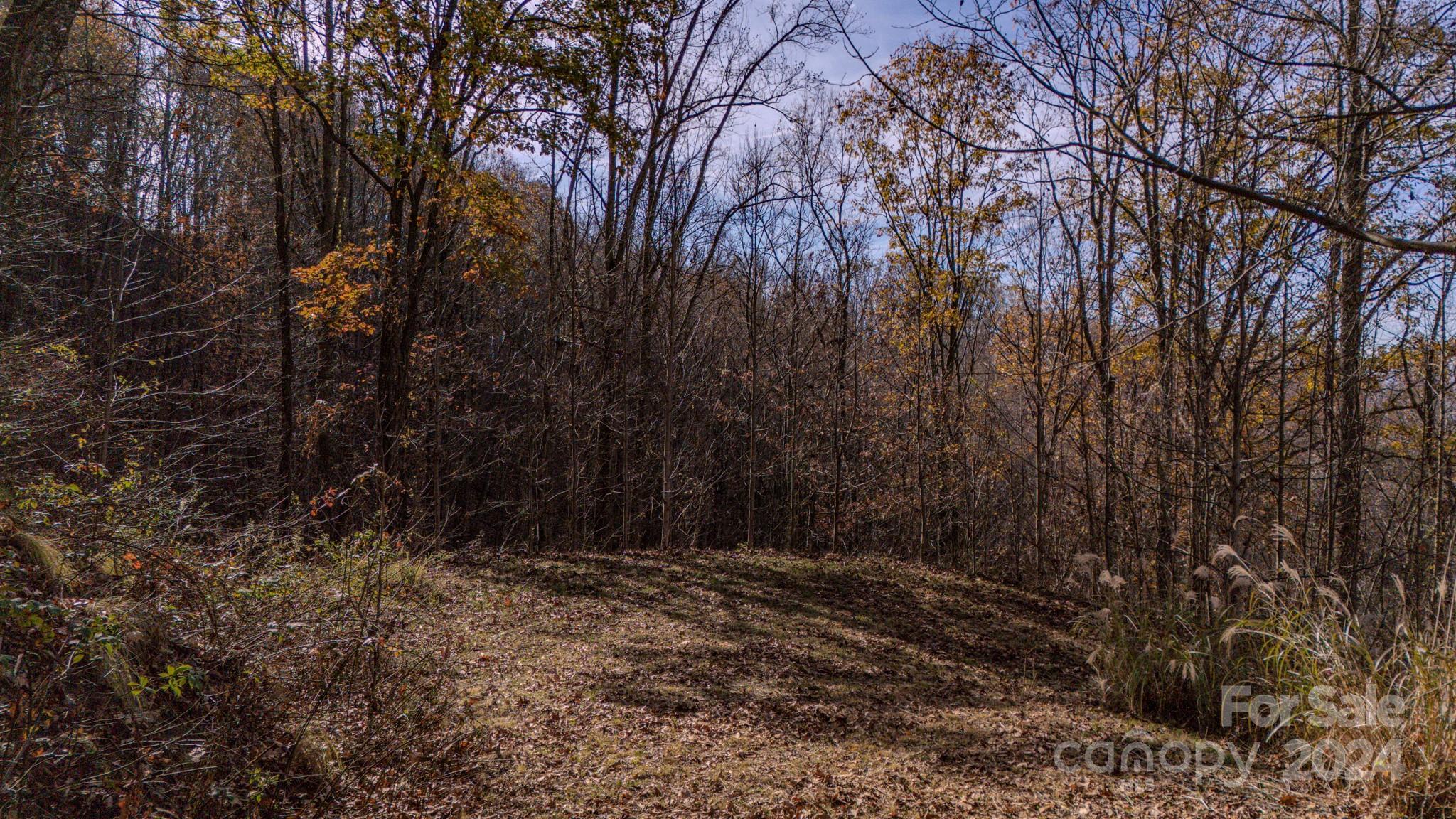 17 Broken Arrow Trail, Unit 17 Canton, NC 28716 - Photo 6 of 10 a view of wooden fence