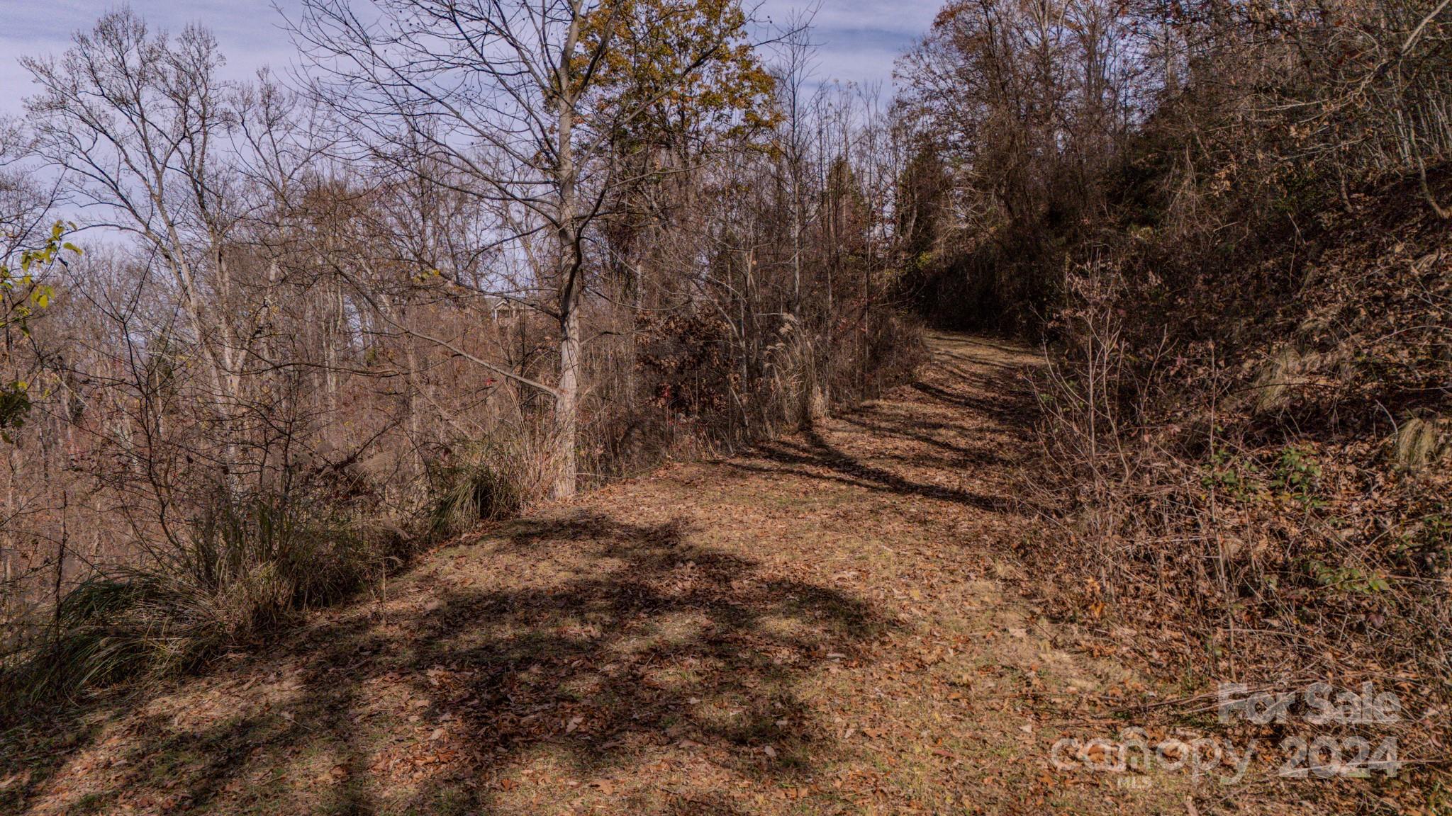 17 Broken Arrow Trail, Unit 17 Canton, NC 28716 - Photo 7 of 10 a view of outdoor space and yard