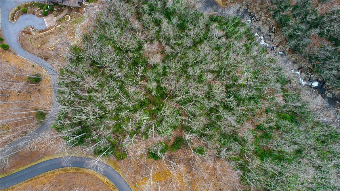 Lot 324 Twin Rivers Drive Boone, NC 28607 - Photo 3 of 6 a view of a bird bath