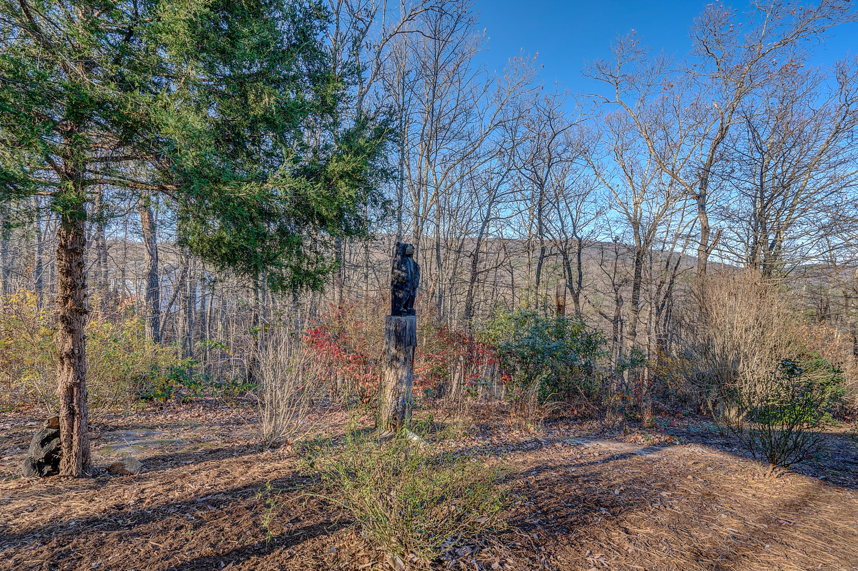 496 Aps Knob Road New Castle, VA 24127 - Photo 22 of 42 DSC00211-2_2-2_3-2_4-2_5-2-2