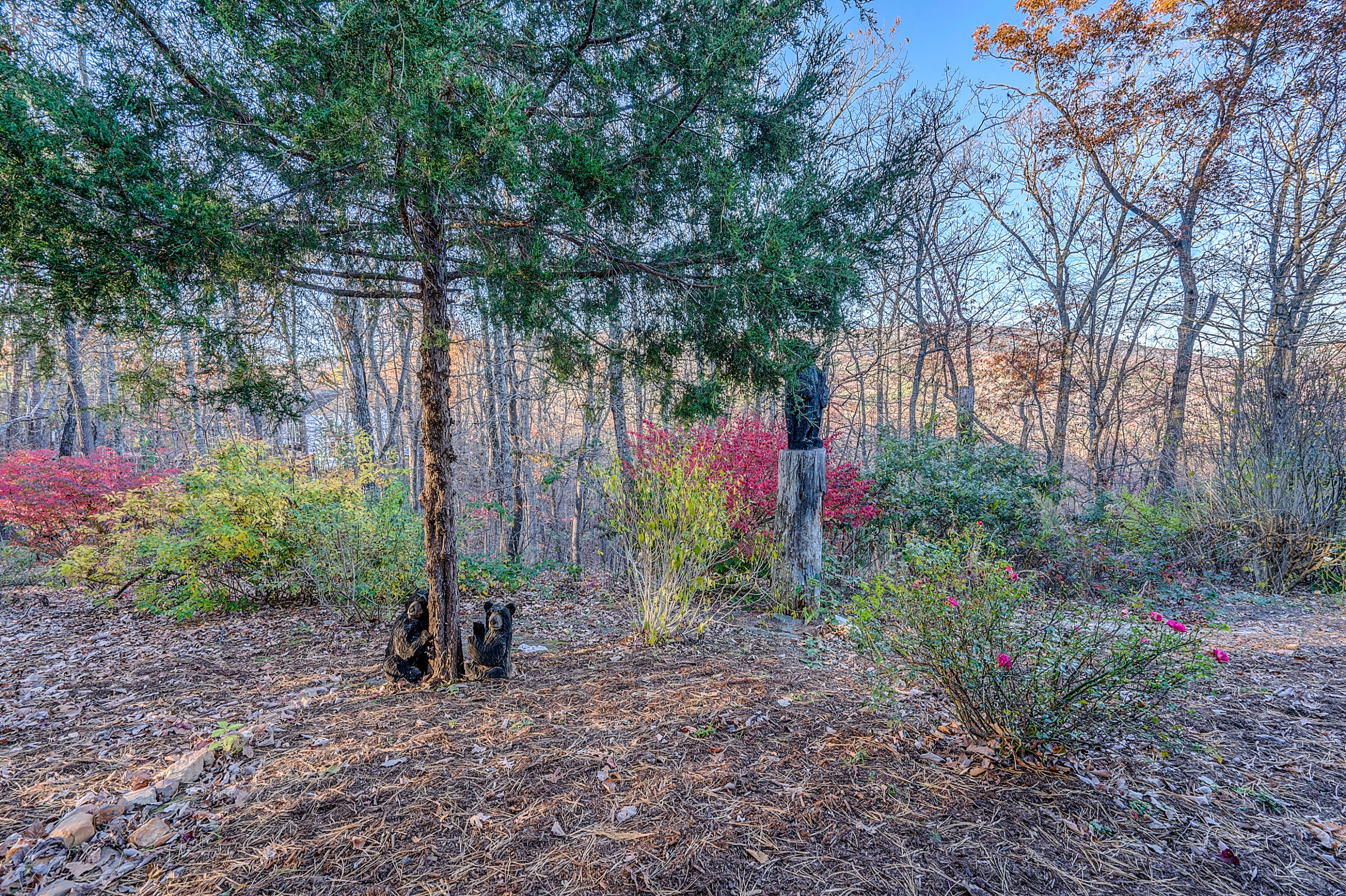 496 Aps Knob Road New Castle, VA 24127 - Photo 23 of 42 DSC00231-2_2-2_3-2_4-2_5-2