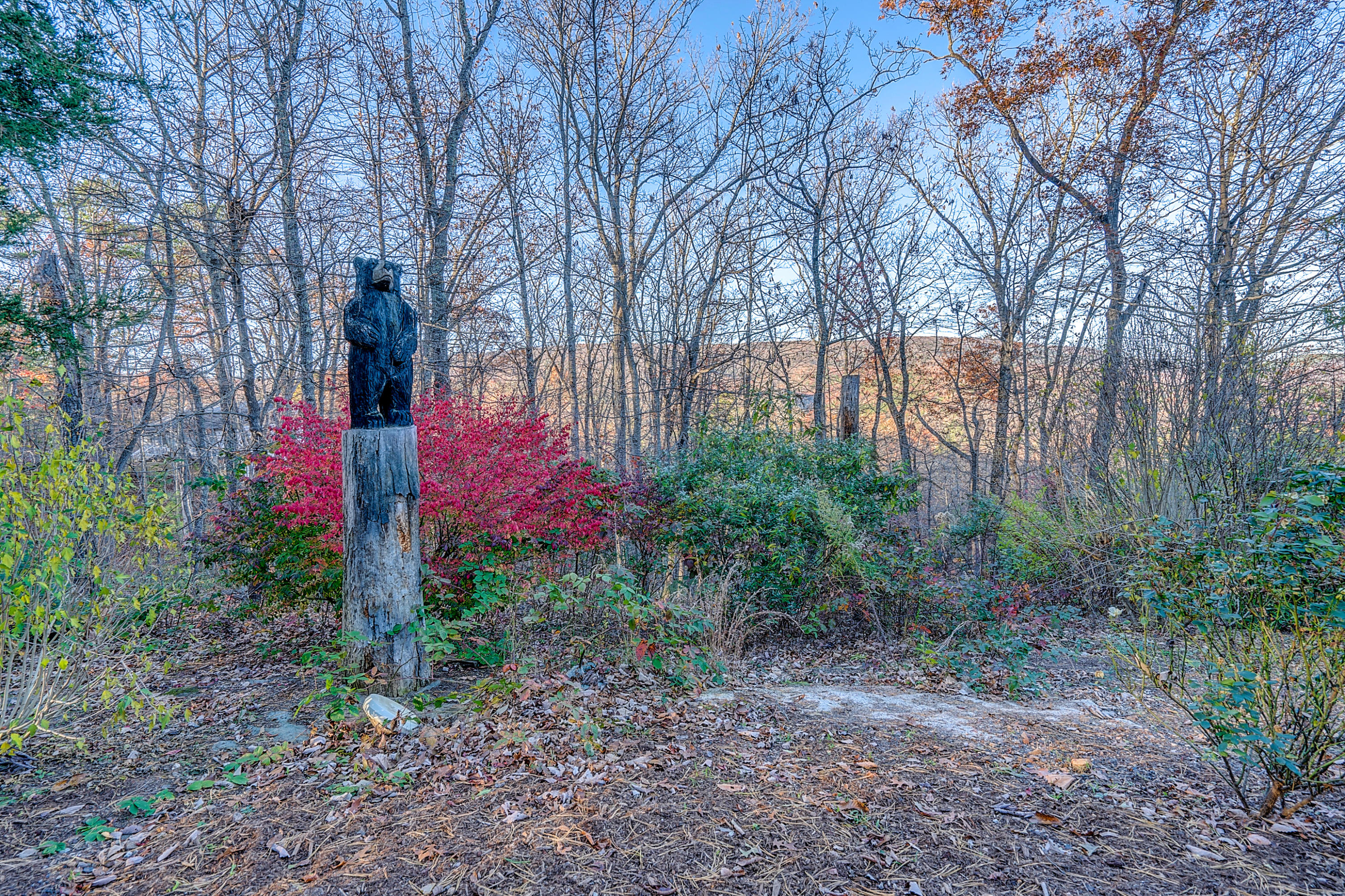 496 Aps Knob Road New Castle, VA 24127 - Photo 24 of 42 DSC00236-2_37-2_38-2_39-2_40-2