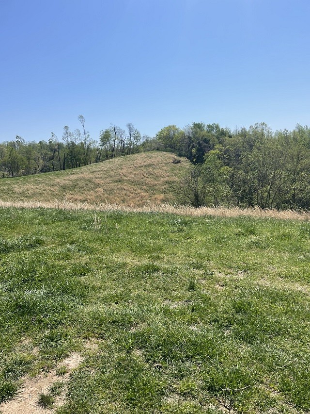 3548 Old Bottom Road Lafayette, TN 37083 - Photo 17 of 22 Gallery Image 17
