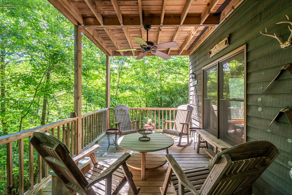 135 Diamond Back Ridge Blue Ridge, GA 30513 - Photo 16 of 60 Gallery Image 16