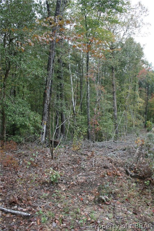 0 St Route 609 Road Mattaponi, VA 23110 - Photo 2 of 3
