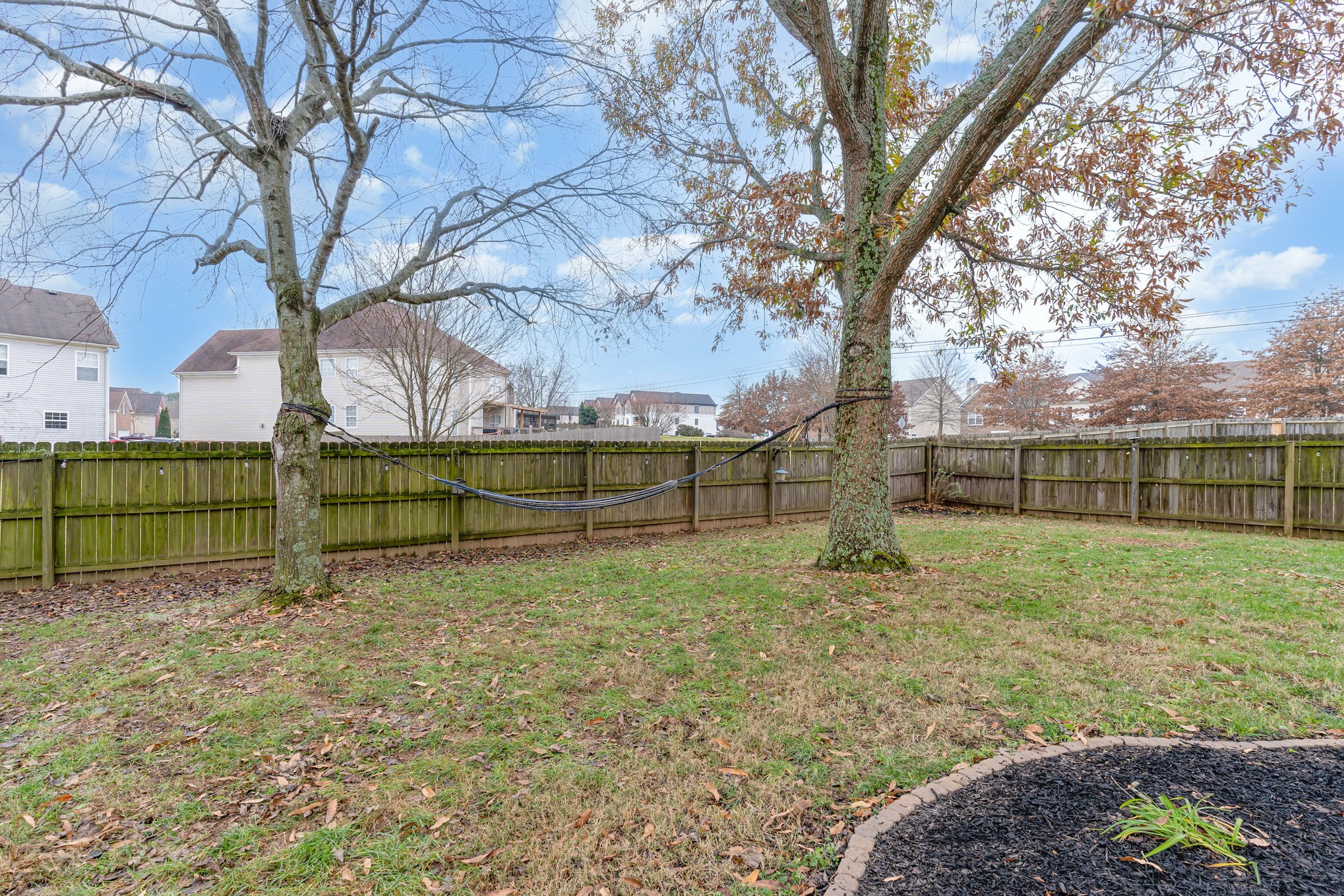 2261 Dewey Drive Spring Hill, TN 37174 - Photo 25 of 26 a view of a yard with large trees