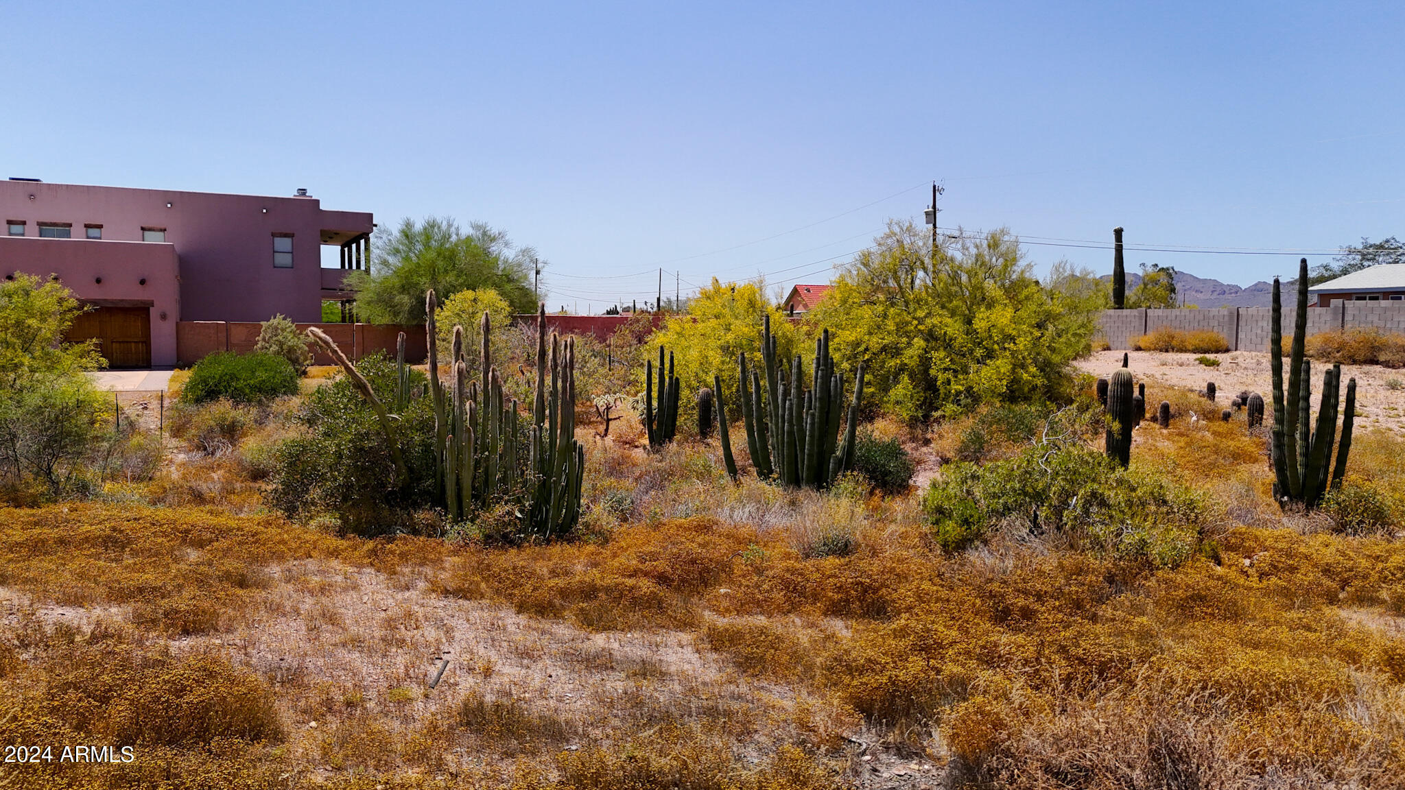 560 North Tomahawk Road Apache Junction, AZ 85119 - Photo 5 of 22 a view of a yard with plants and a building