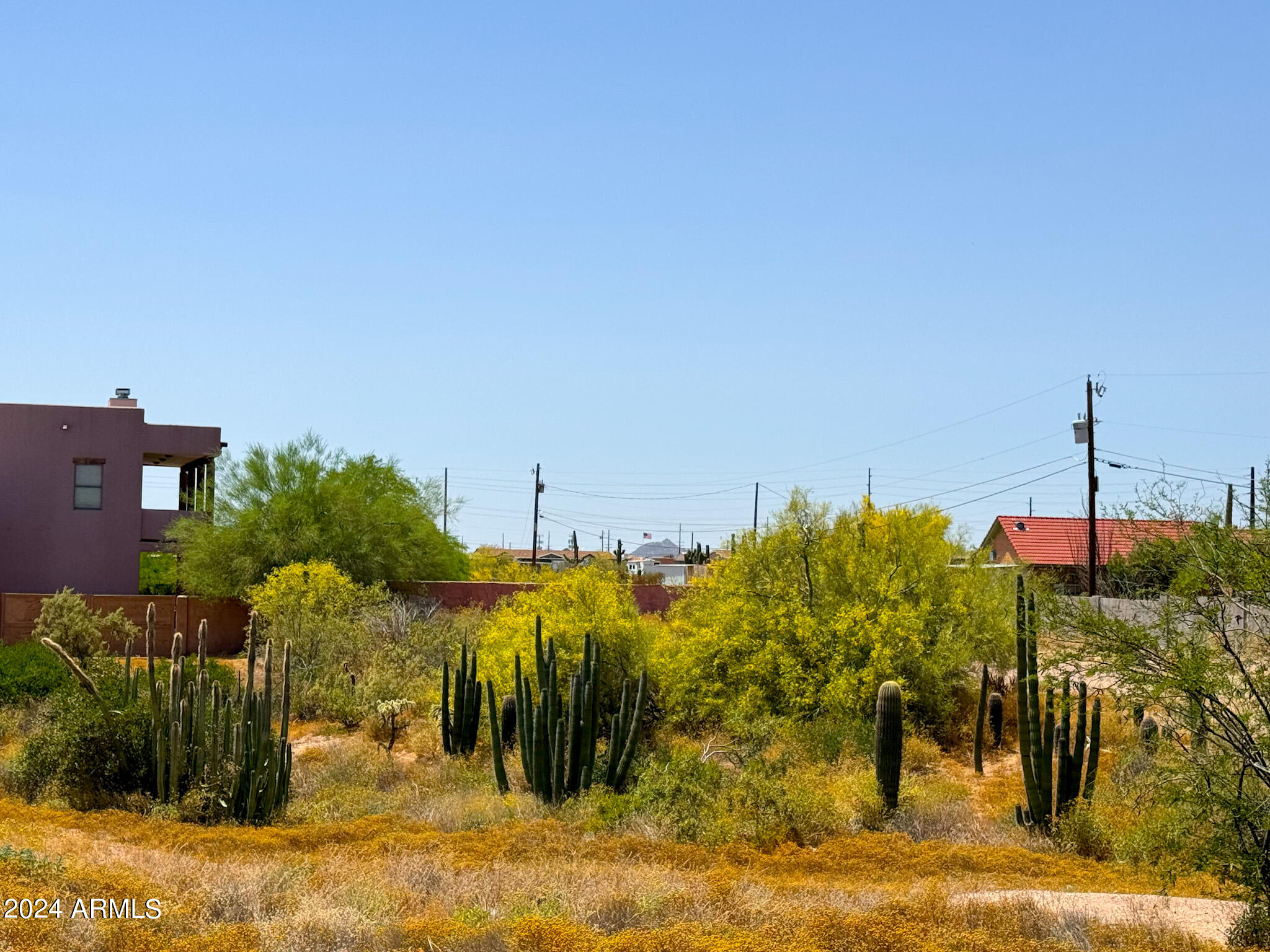 560 North Tomahawk Road Apache Junction, AZ 85119 - Photo 8 of 22 a view of a house with a yard