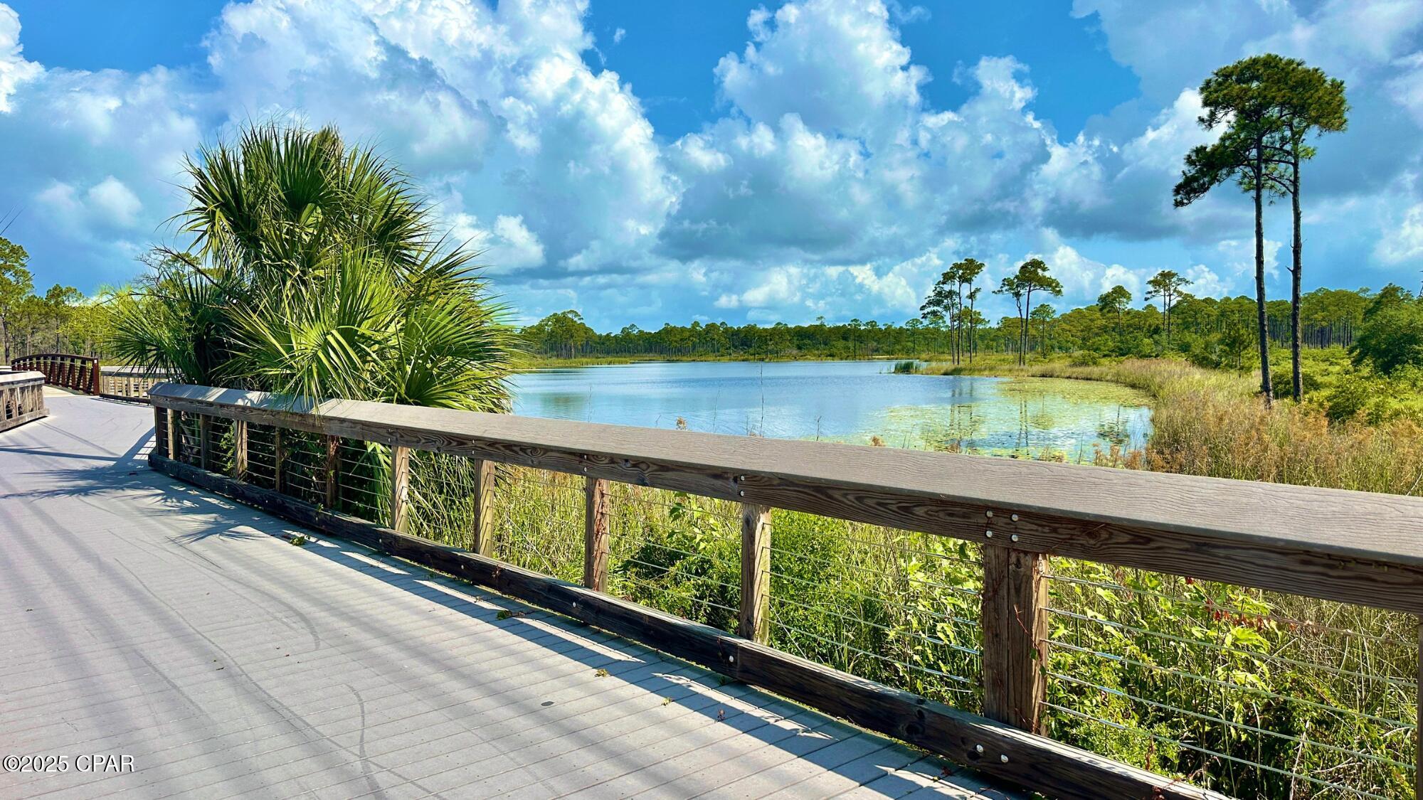 76 Mosaic Oaks Circle Santa Rosa Beach, FL 32459 - Photo 60 of 62