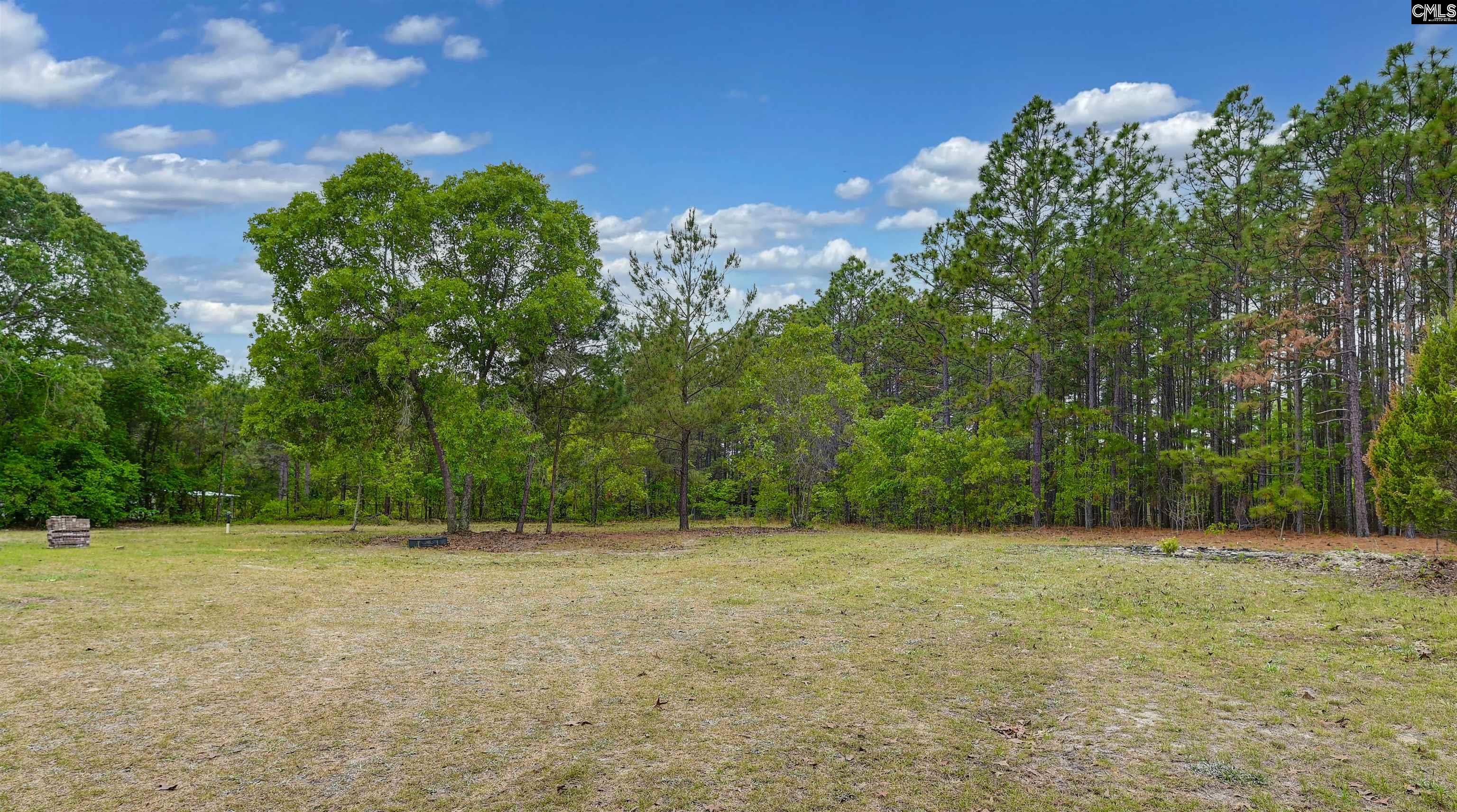 972 Gary Goff Road Elgin, SC 29045 - Photo 9 of 45