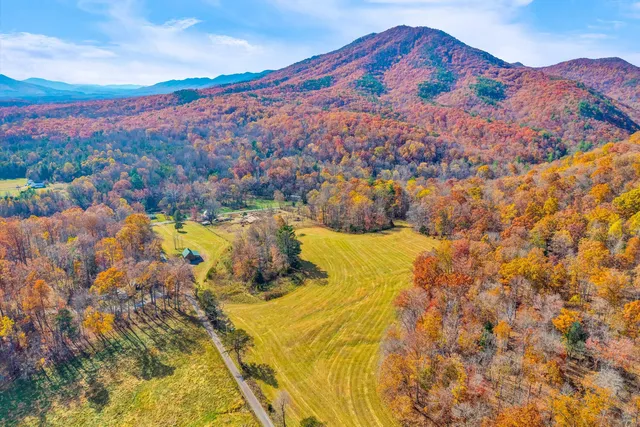 a view of swimming pool with a yard
