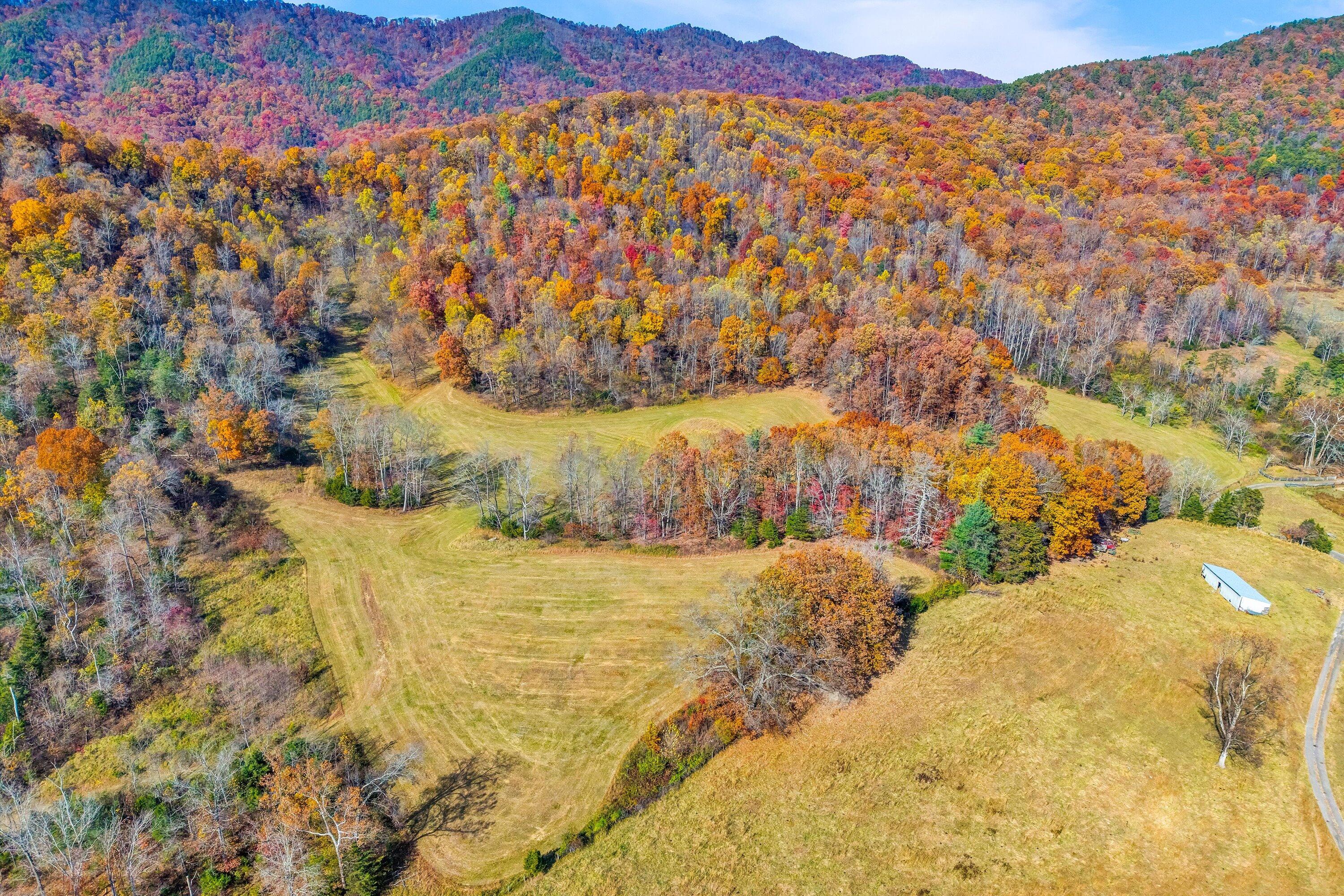 0 Grove Hill Road Fincastle, VA 24090 - Photo 19 of 76 a view of mountain with lake