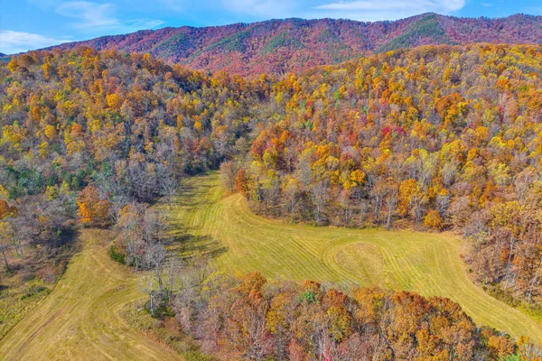 a view of a swimming pool with a yard