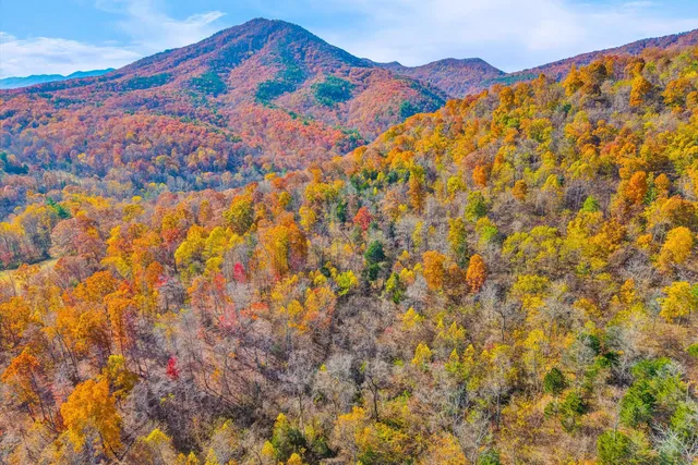 a view of a swimming pool with a yard