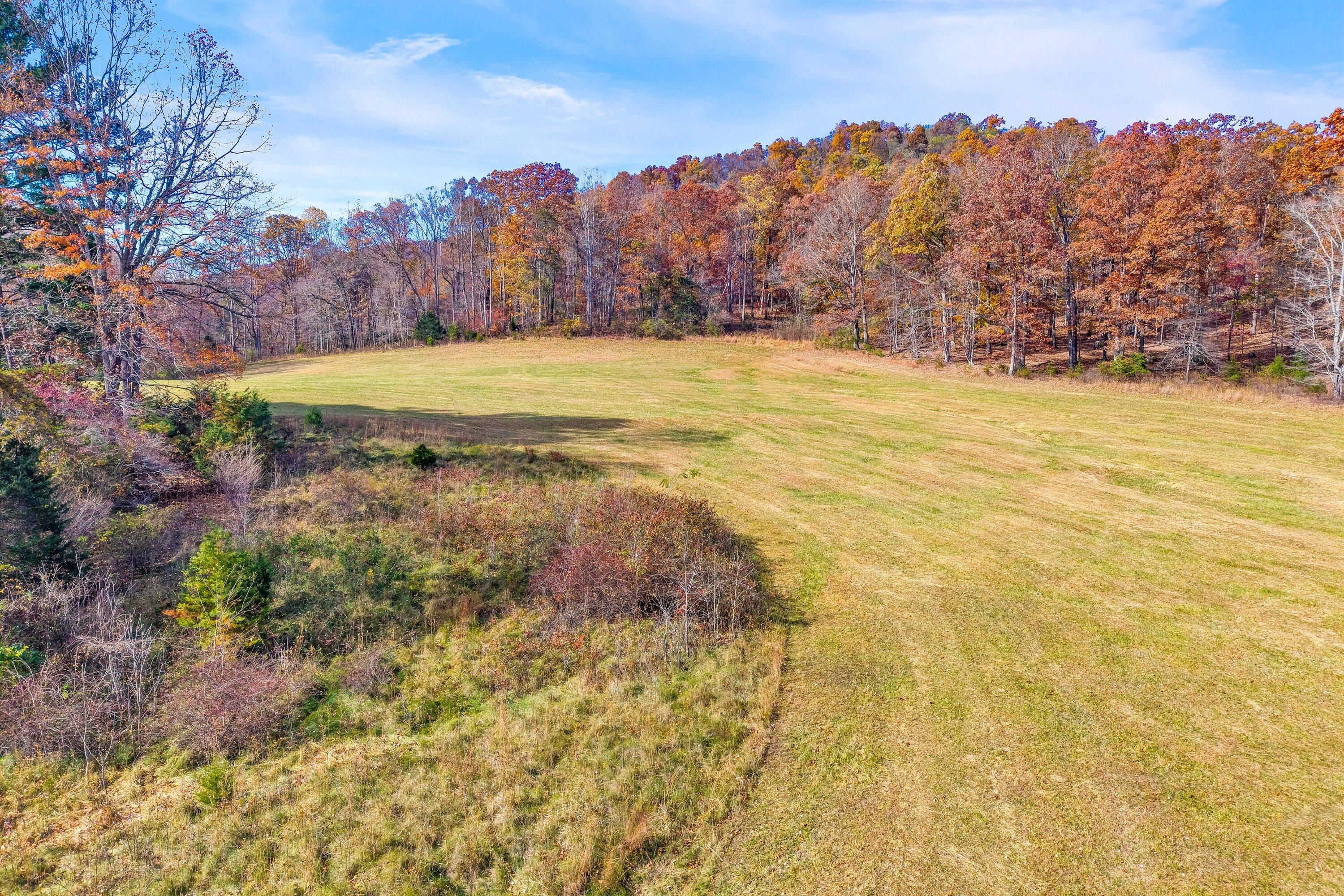 0 Grove Hill Road Fincastle, VA 24090 - Photo 33 of 76 a view of a field with an ocean beach