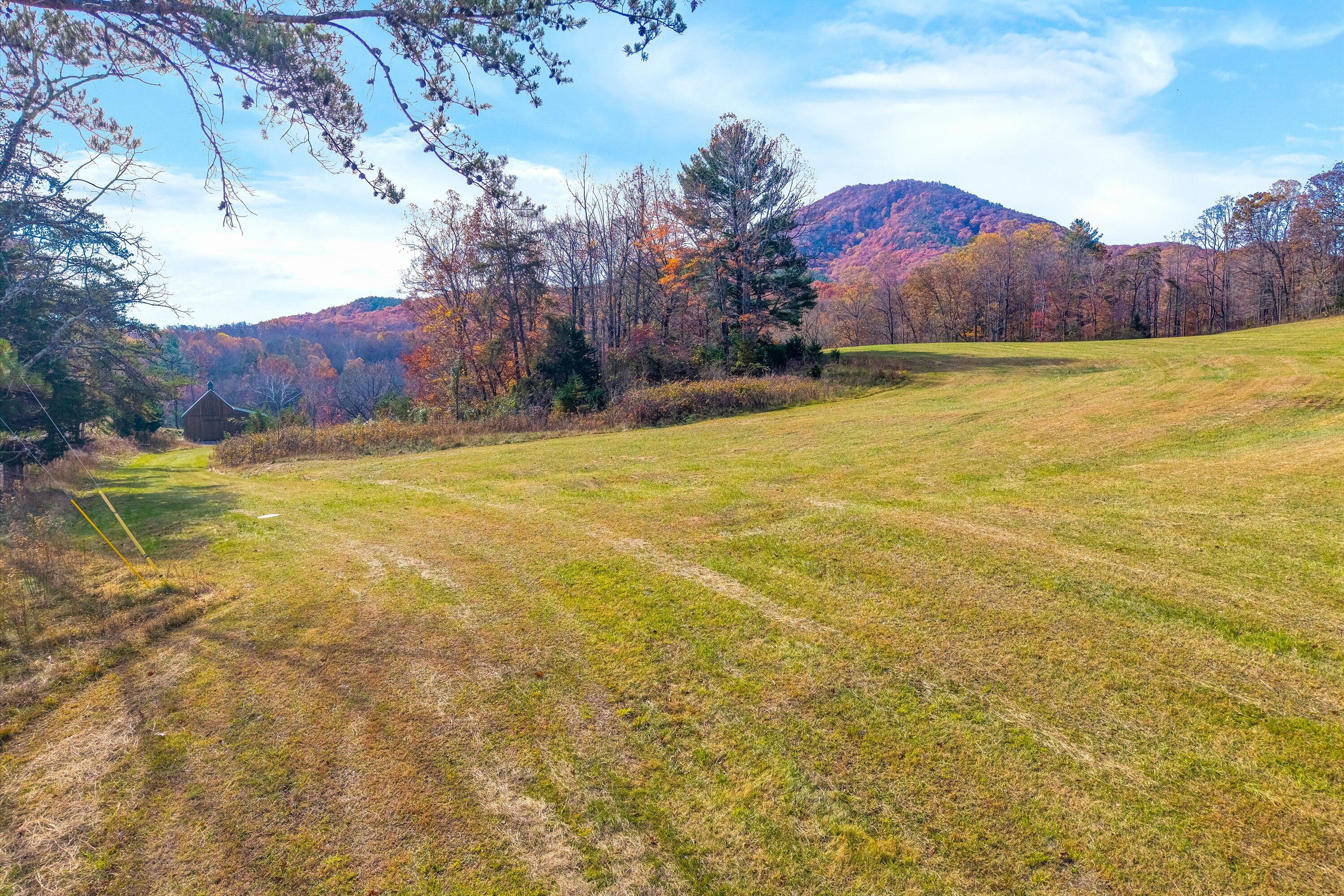 0 Grove Hill Road Fincastle, VA 24090 - Photo 34 of 76 34-SGP-0101