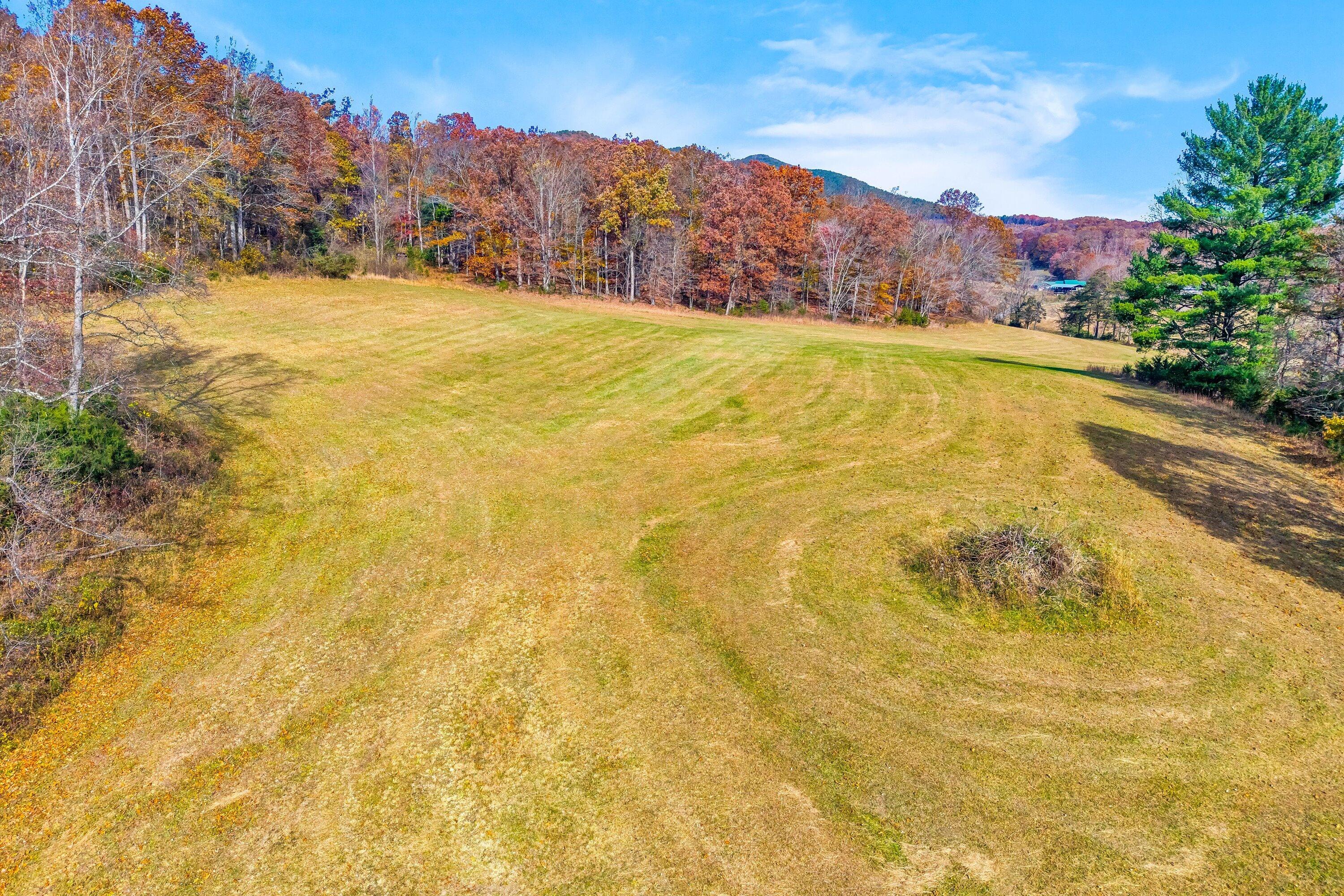 0 Grove Hill Road Fincastle, VA 24090 - Photo 38 of 76 a view of an outdoor space and mountain view