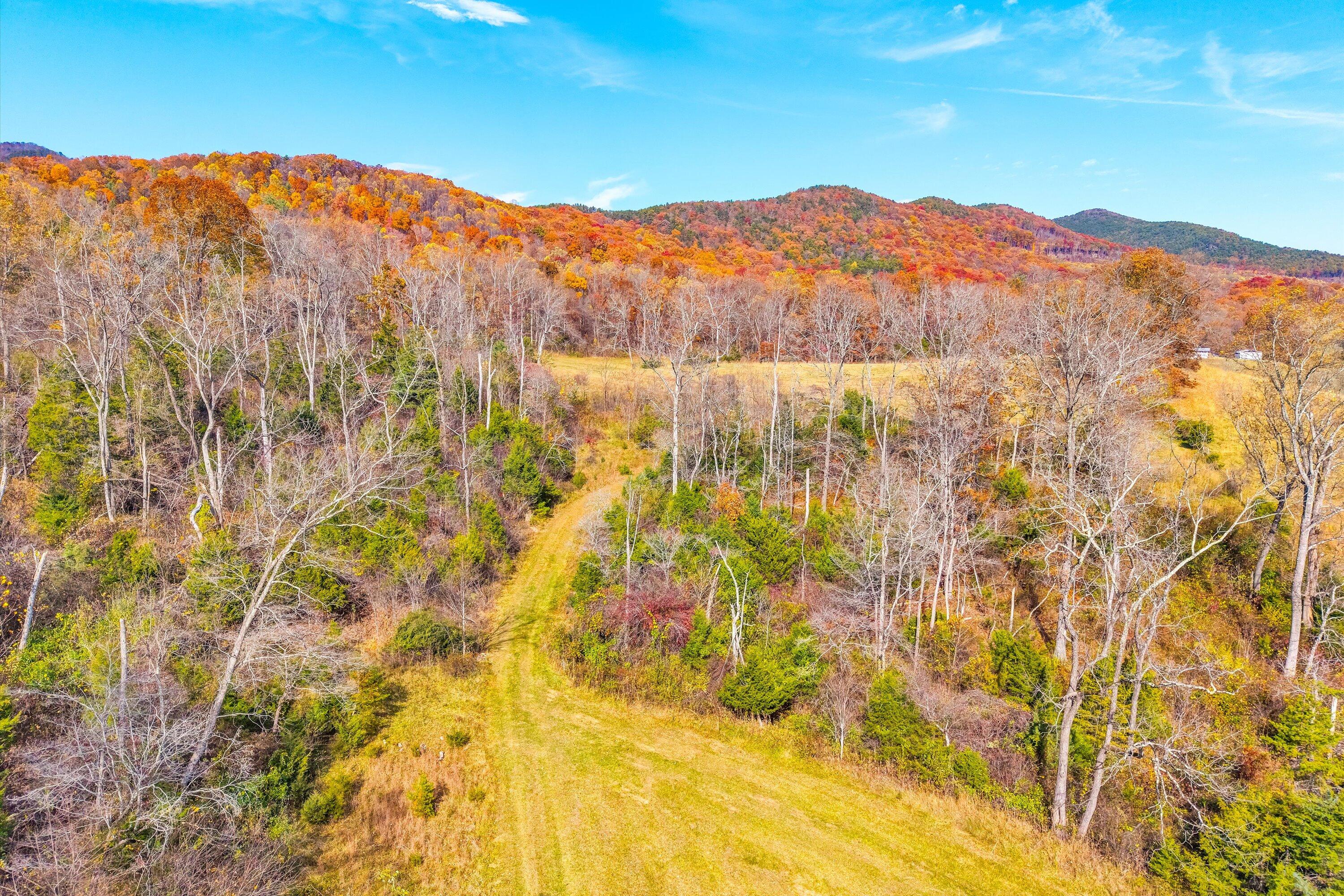 0 Grove Hill Road Fincastle, VA 24090 - Photo 40 of 76 40-SGP-0119
