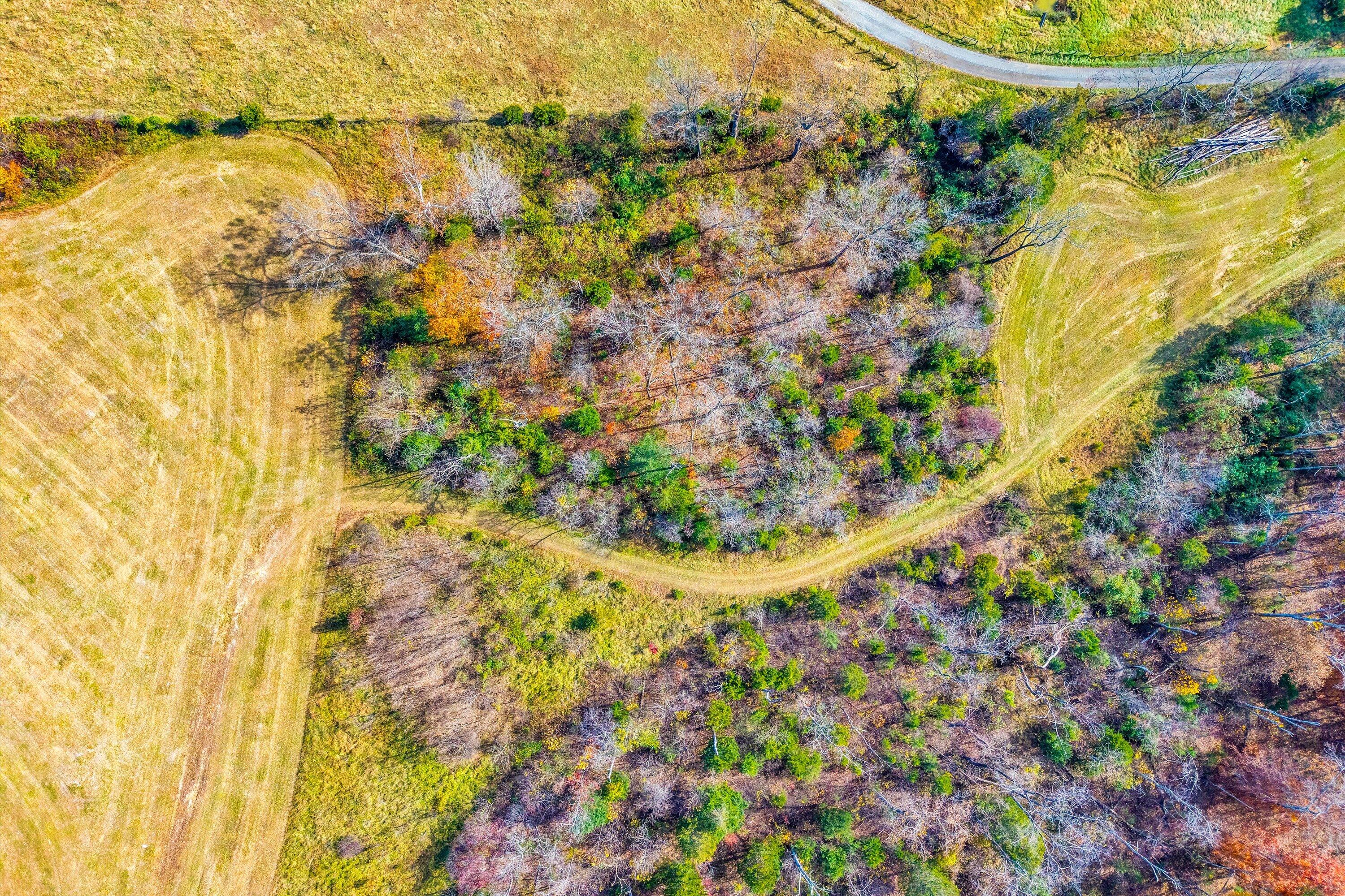0 Grove Hill Road Fincastle, VA 24090 - Photo 50 of 76 50-SGP-0149