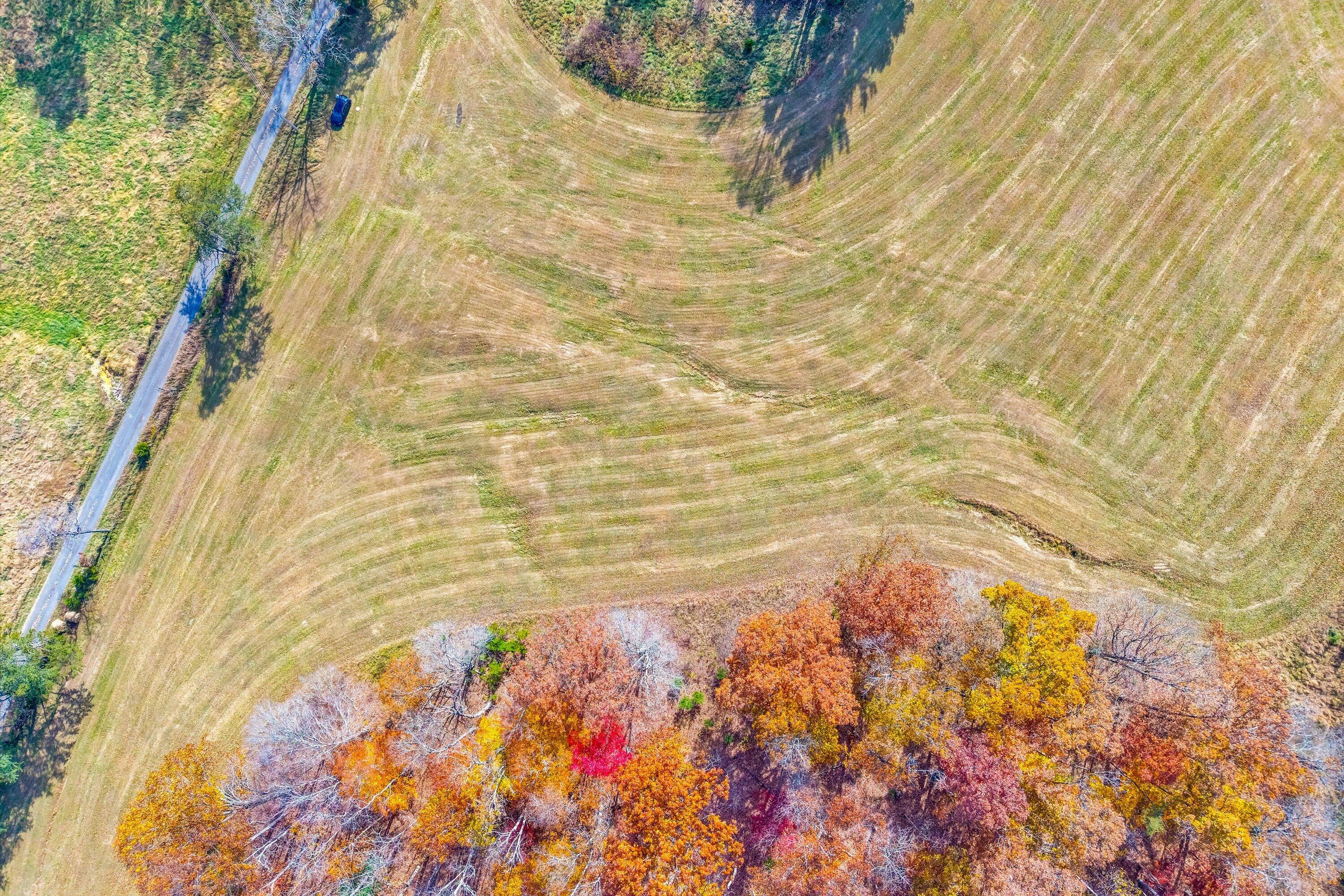 0 Grove Hill Road Fincastle, VA 24090 - Photo 51 of 76 a view of a yard