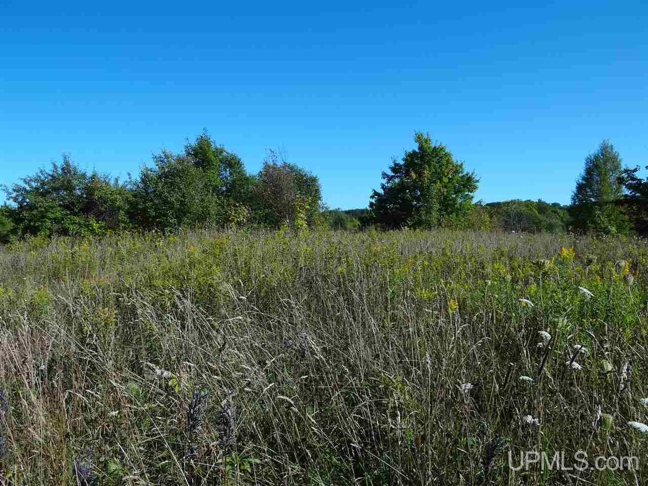 Tbd Cemetery Road Atlantic Mine, MI 49963 - Photo 23 of 27